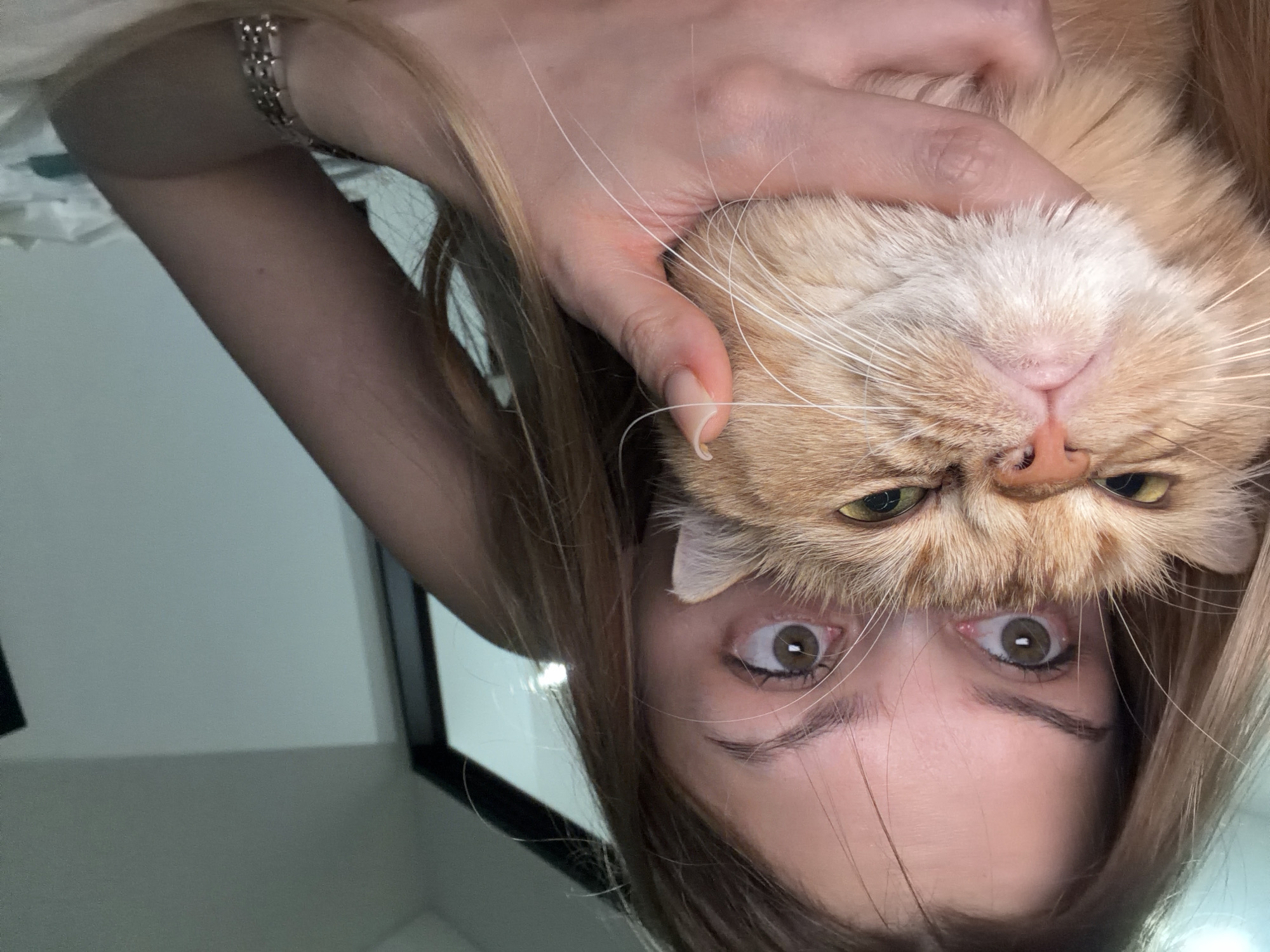 A woman with light brown hair is holding a ginger cat upside down close to her face. The woman's eyes are wide and looking directly at the camera. Her hand is visible holding the cat's head. The background is blurry but appears to be an interior space with a white wall. A bracelet is visible on her wrist. There is no indication of this image being in Đà Nẵng, Vietnam.