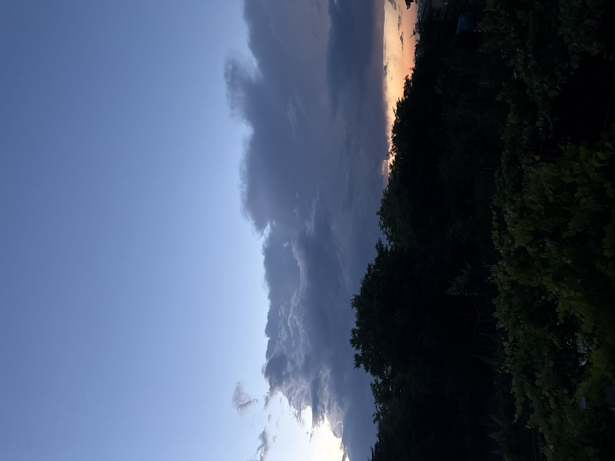 The image captures a twilight scene of the sky over Burgas, Bulgaria. The sky is a gradient of soft blues, transitioning to darker hues as dusk settles. A dramatic cloud formation dominates the upper portion of the frame, with dark, moody clouds juxtaposed against patches of lighter, wispy formations. Towards the horizon, the sky is illuminated by the warm oranges and yellows of a sunset, peeking through a break in the clouds.
Silhouetted against the sky is a dense line of trees, forming a dark, undulating barrier. Below the trees, a foreground of lush green foliage, appearing to be vines or low-lying bushes, fills the lower part of the image. The overall impression is one of natural beauty and the tranquil end of a day. There are no people, animals, or any overt human activity visible in the scene. The environment appears to be a natural or semi-natural area on the outskirts of or within Burgas, likely a park, garden, or undeveloped land bordering the city.