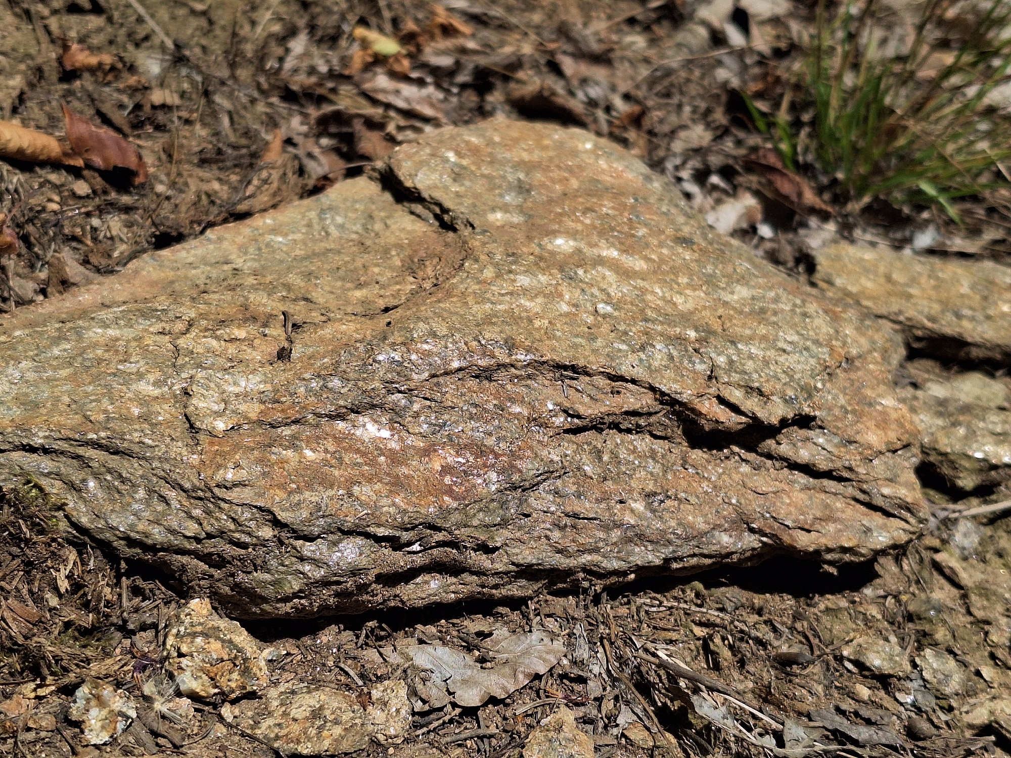 A close-up, overhead shot captures a weathered, textured rock formation amidst dry leaves and soil. The rock, predominantly shades of brown and grey, exhibits a rough, uneven surface with visible crystalline or mineral inclusions that catch the light, creating a shimmering effect. Shadows cast by the rock highlight its rugged contours. The surrounding ground is covered with a scattering of dry, brown leaves, twigs, and sparse, dry grass. The image appears to be taken outdoors, likely in a natural or semi-natural setting. There are no people or animals visible in the frame. This scene is consistent with an outdoor environment found in the vicinity of Wolkenstein, Germany, such as a forest floor or a rocky embankment.