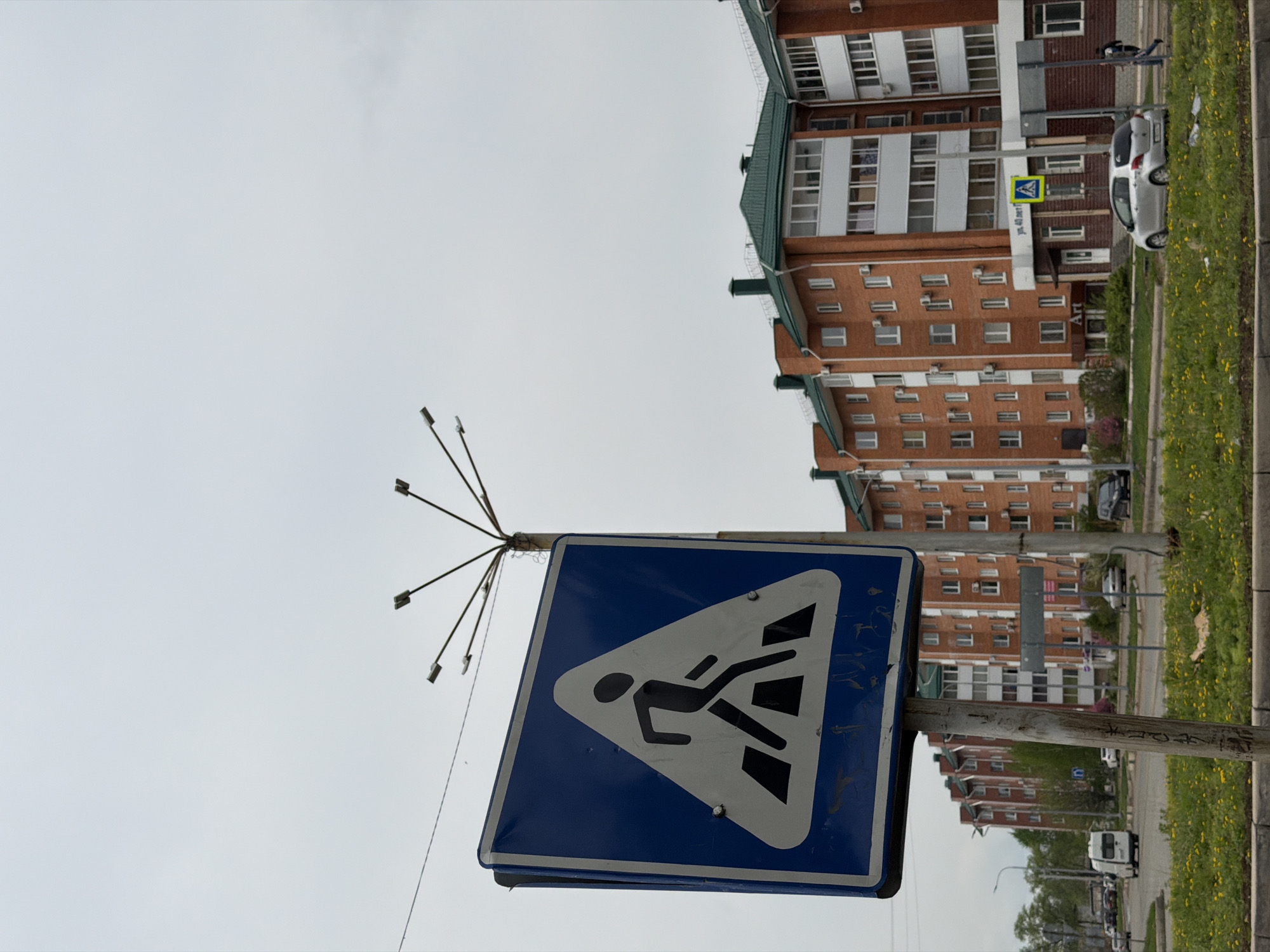 The image shows a pedestrian crossing sign in Birobidzhan, Russia. The sign is blue and white, depicting a person walking. In the background, there is a tall brick building with a green roof. A grassy area with yellow flowers runs alongside the street. Several cars are parked along the side of the road. The sky is overcast.