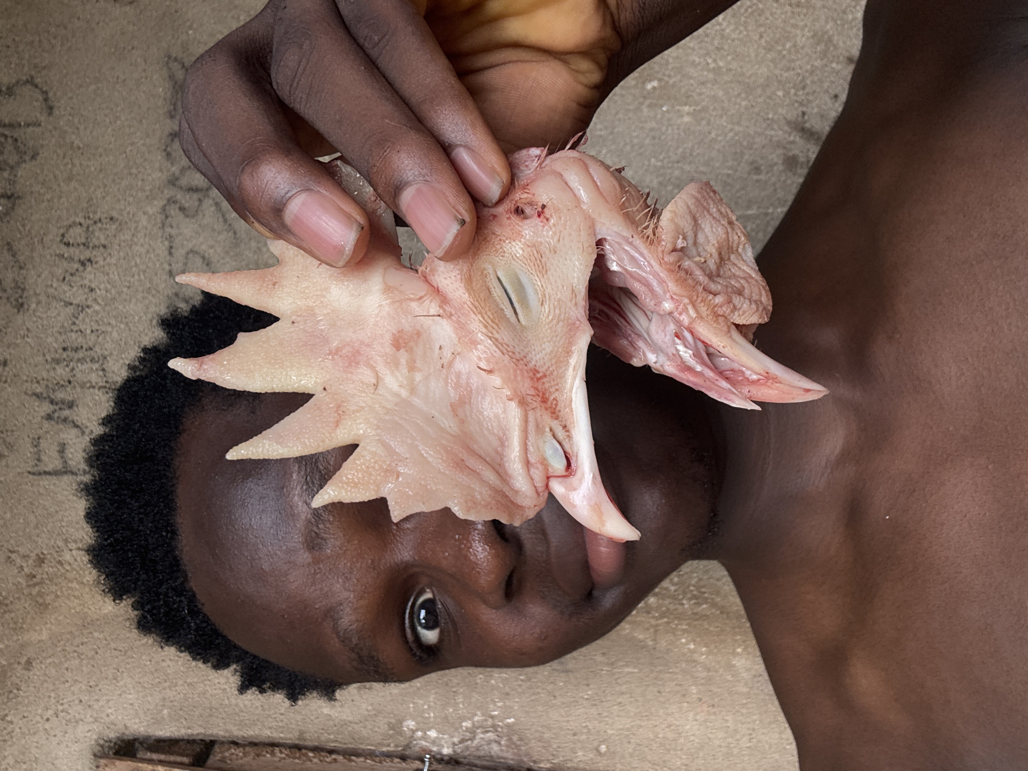 A man with dark skin and short, black hair is holding a plucked chicken head in his right hand. The chicken head is pale pink with a spiky comb. The man is looking up at the camera. The background is a mottled beige color. The location cannot be determined with the information given.