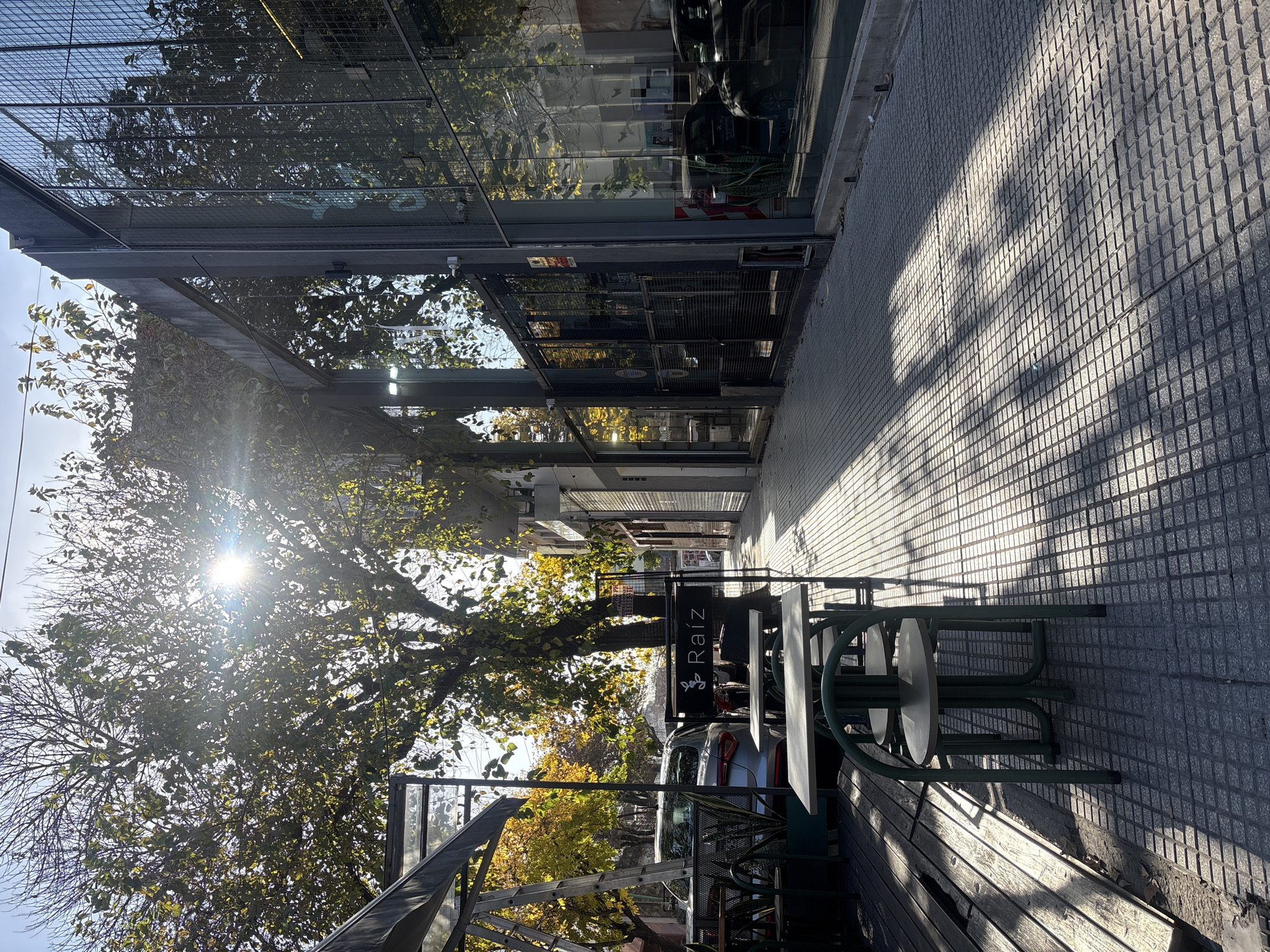 Here is a description of the image:
The image shows an outdoor seating area of a café or restaurant, likely located in Buenos Aires, Argentina, based on the name “Raíz” visible on a sign. The tables and chairs are green, and there is a wooden bench nearby. The area is shaded by a tree, with sunlight filtering through the leaves and creating dappled shadows on the sidewalk. A modern building with glass walls is on the left. A car is parked nearby. The sidewalk is paved with square tiles, with shadows creating a grid pattern.