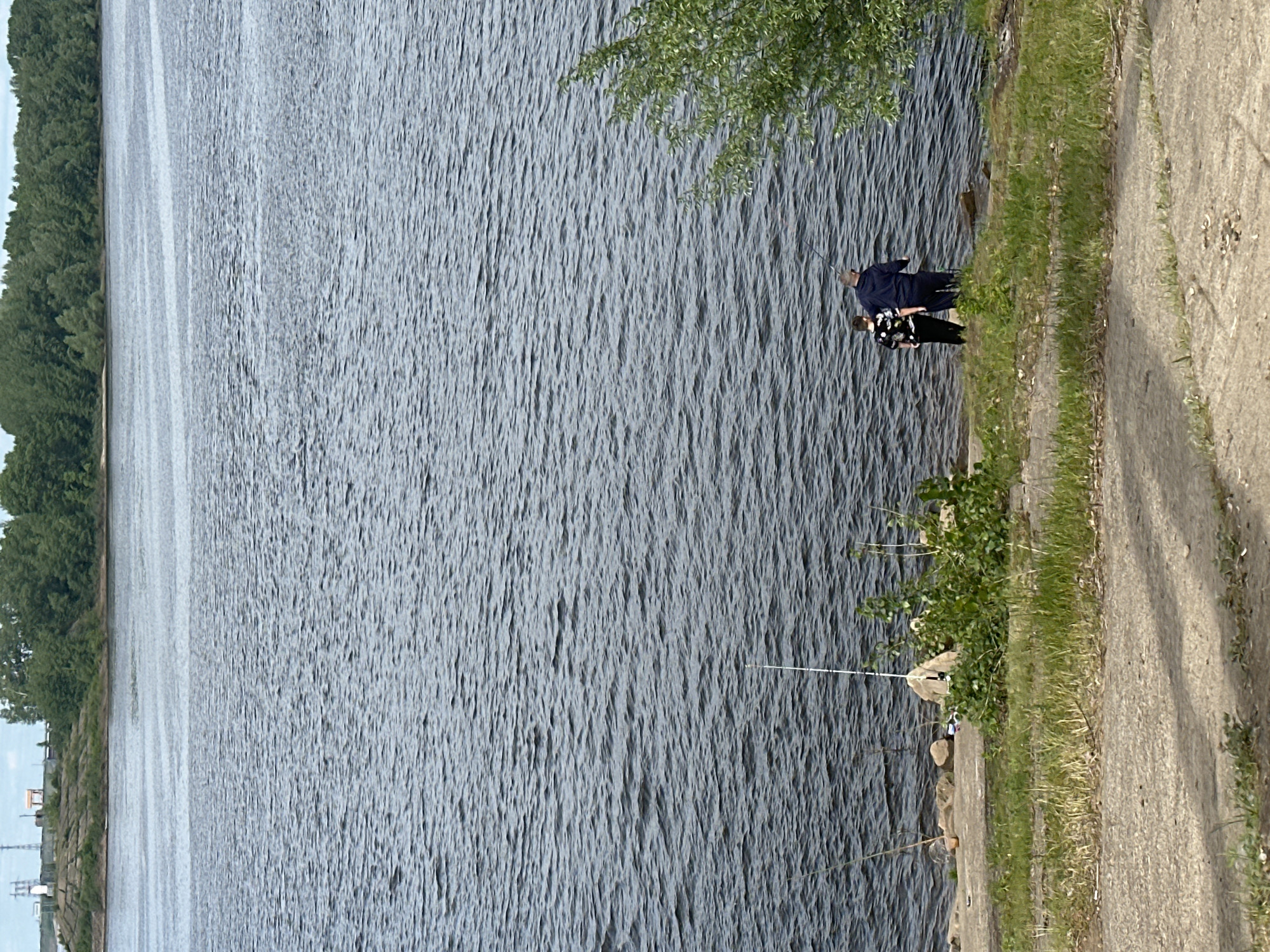 The image captures a serene outdoor scene, likely along a river or large lake in Chaikovsky, Russia. The primary subject is a wide expanse of water, characterized by numerous ripples on its surface, indicating either wind activity or current. On the far bank of the water, a dense line of green trees extends into the distance.
In the foreground, on the right side of the image, there is a grassy bank sloping down to the water's edge, bordered by a concrete or paved path. Two individuals are visible near the water. One person, dressed in a dark blue top and pants, stands closer to the water, holding a fishing rod that extends into the water. Slightly behind them and to their right, a second person wears a black and white patterned top and dark pants. Another fishing rod, secured by a holder, is visible further down the bank near some rocks. Lush green bushes and grass grow along the bank, and a leafy tree branch hangs into the upper right corner of the frame.
The activity taking place is fishing, with the individuals positioned to cast into the water. The scene suggests a calm and leisurely day. The lighting is bright and even, indicating it is daytime, possibly under an overcast sky or during the morning/late afternoon, as there are no harsh shadows. No specific time or weather details beyond general daylight and moderate conditions can be inferred. There is no visible text in the image.
