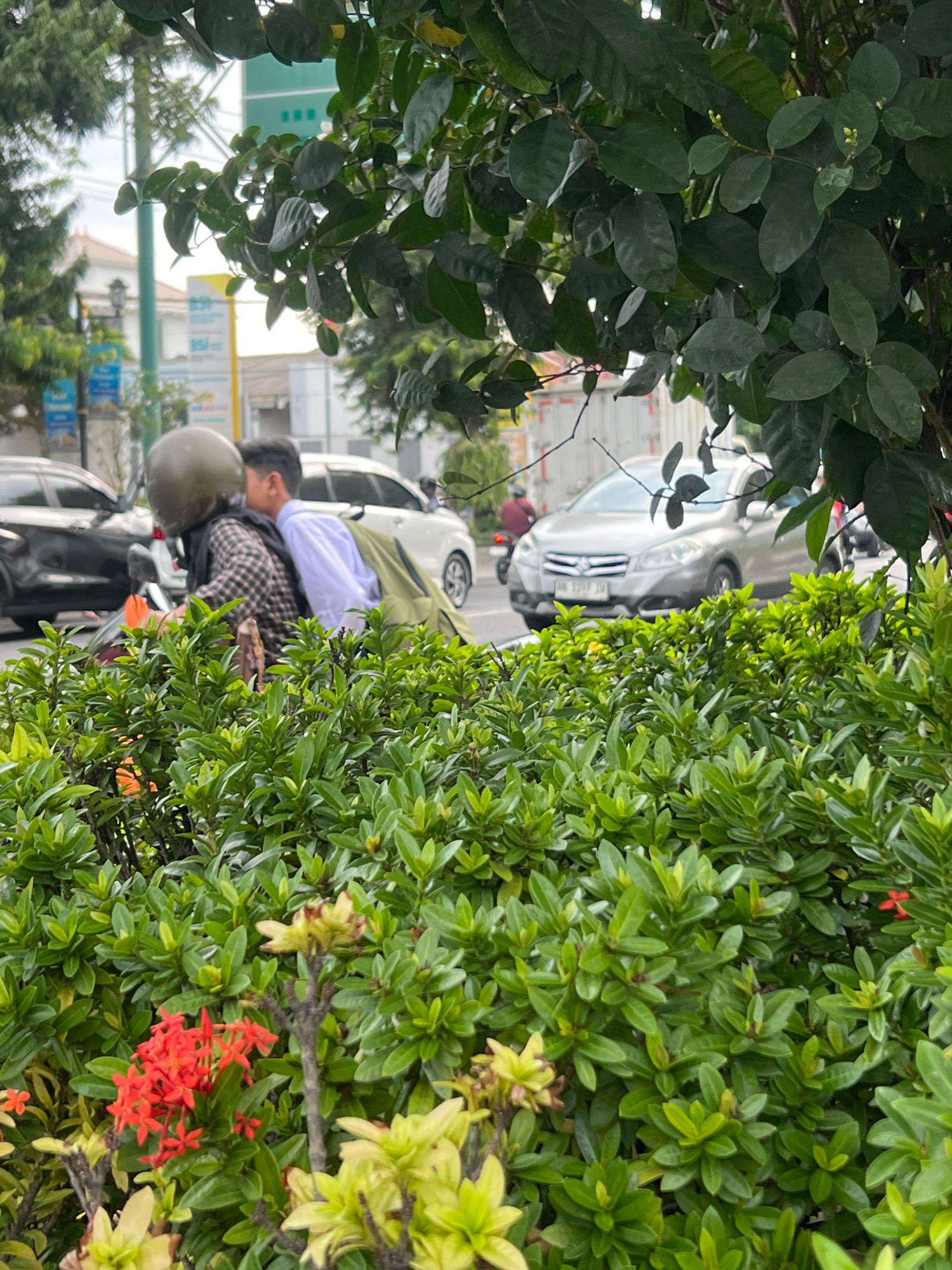 The image shows a street scene in Yogyakarta, Indonesia, with lush green foliage in the foreground. In the middle ground, two individuals are riding a motorcycle. The rider wears a green helmet and a plaid shirt. The passenger, wearing a white shirt, appears to be leaning forward, possibly in conversation or embracing the rider. A green backpack is visible on the passenger's back. Several cars are present on the road, including a black car to the left and a silver SUV in the center. The background includes trees, buildings, and a traffic light, suggesting an urban environment. The overall impression is a snapshot of daily life on a street in Yogyakarta, partially obscured by the natural elements.