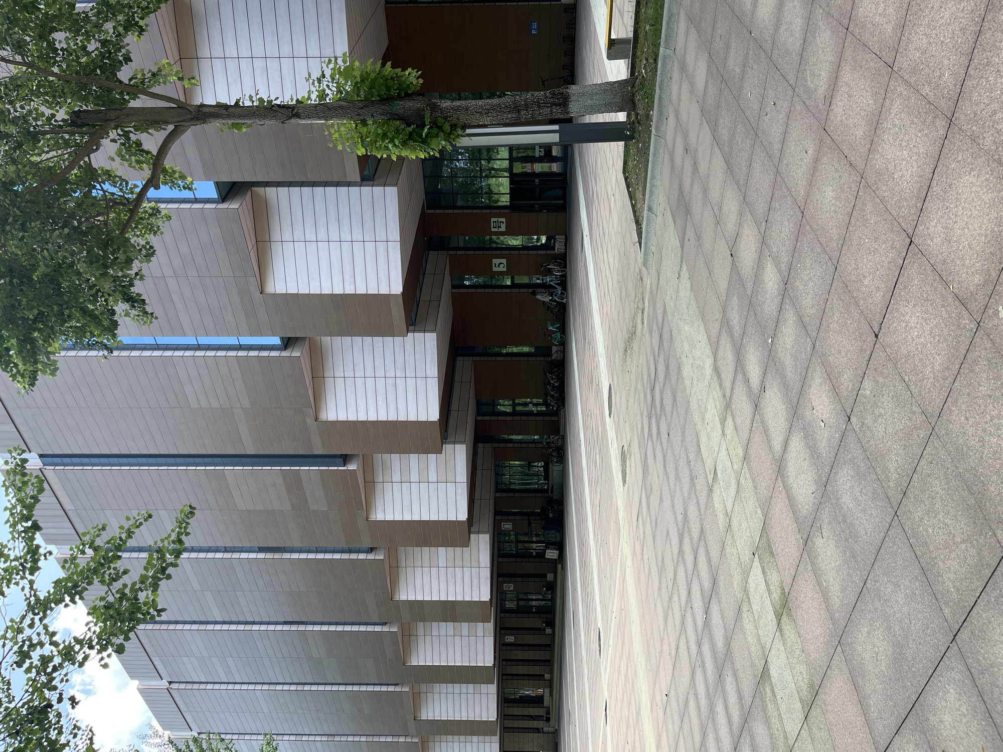 The image depicts an exterior view of a modern building with a facade of beige and white panels. The building has a series of recessed entrances at ground level, each with glass doors. Bicycles are parked in front of some of these entrances. A paved plaza with square tiles stretches out from the building, with a pattern of lighter-colored tiles forming stripes across it. A tree with green leaves stands to the right of the frame, and some of its branches extend into the upper left corner of the image, obscuring the sky. In the background, more trees are visible. The scene appears to be in a public space, possibly on a university campus or a business district. The image is likely taken in Changchun City, China.
