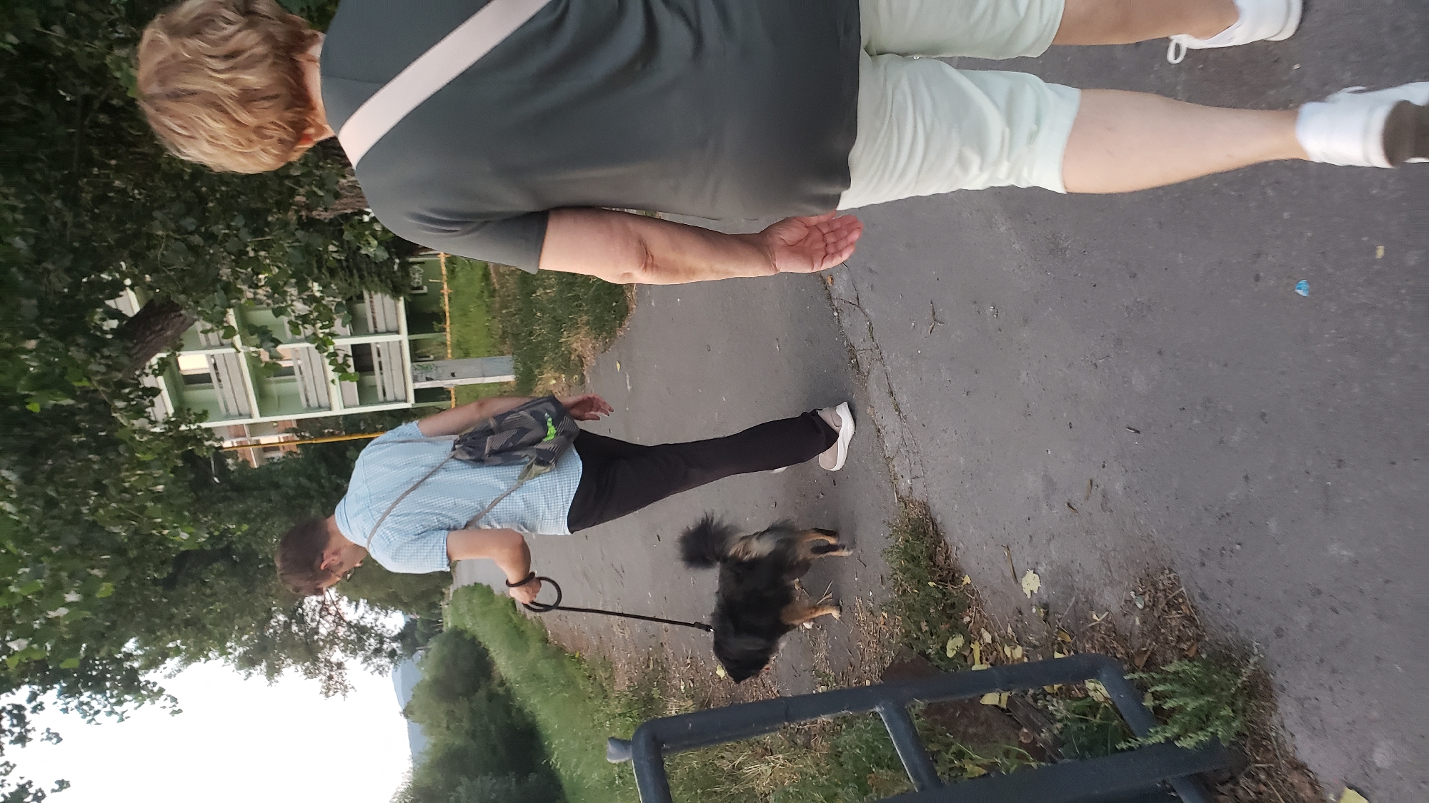 A man wearing a light blue checkered shirt, black pants, and beige sneakers is walking a small, fluffy black and brown dog on a leash. He has glasses and a backpack with a gray and black pattern. Behind him, a woman with blonde hair and a dark green shirt is walking away from the camera, wearing light-colored shorts and white sneakers. They are on a paved walkway next to a grassy area with trees. In the background, a light green apartment building with balconies is visible. The scene appears to be outdoors in a park or residential area.