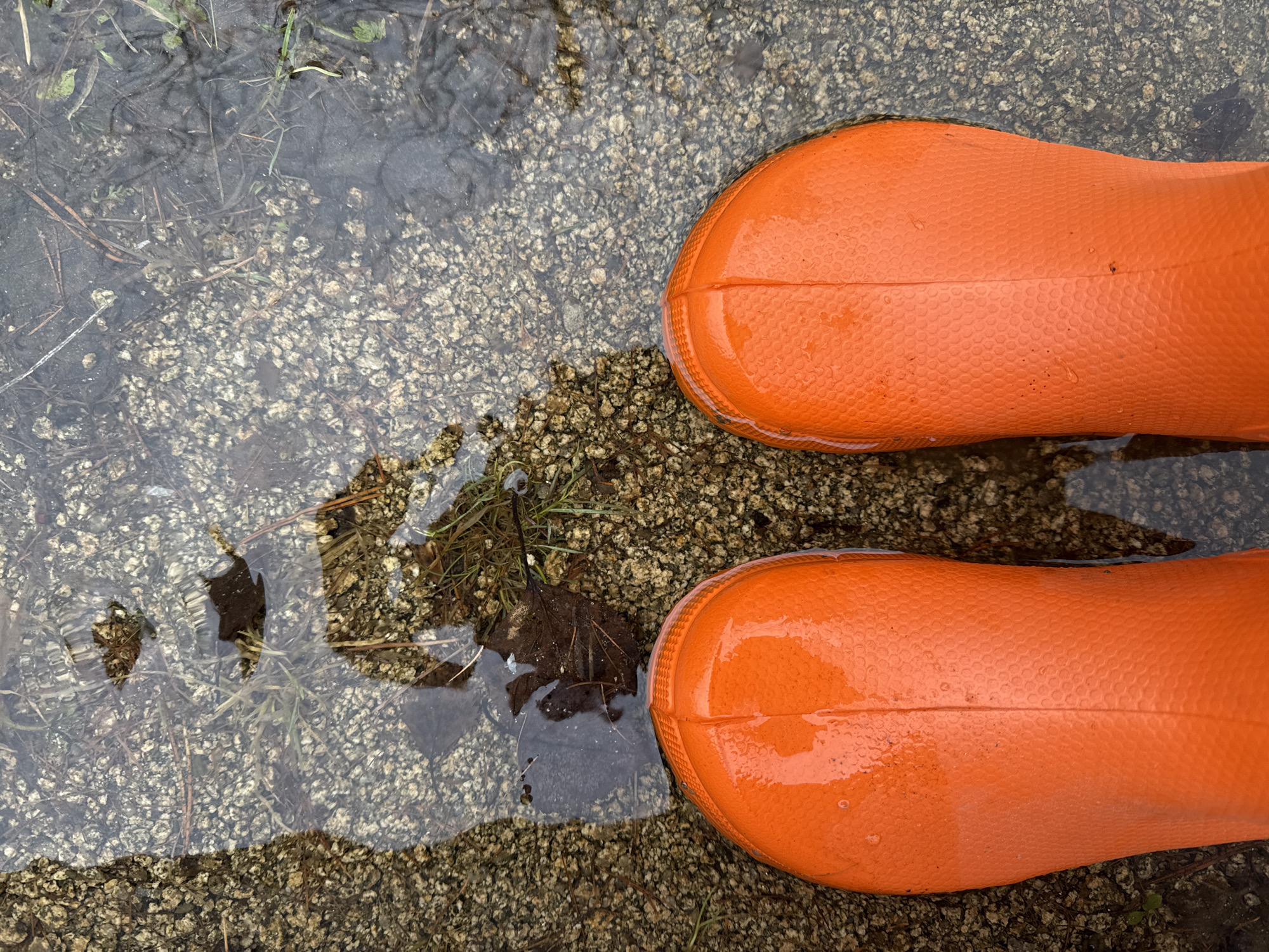 The image shows two orange rain boots standing in a puddle. The puddle sits on a concrete or stone surface mixed with gravel and debris such as twigs and leaves. The water is slightly murky, with clear reflections on the boot surfaces. No people are visible other than the implied wearer of the boots. The environment appears to be outdoors, possibly a park or garden setting. There's no specific evidence to suggest the location is Yekaterinburg, Russia.