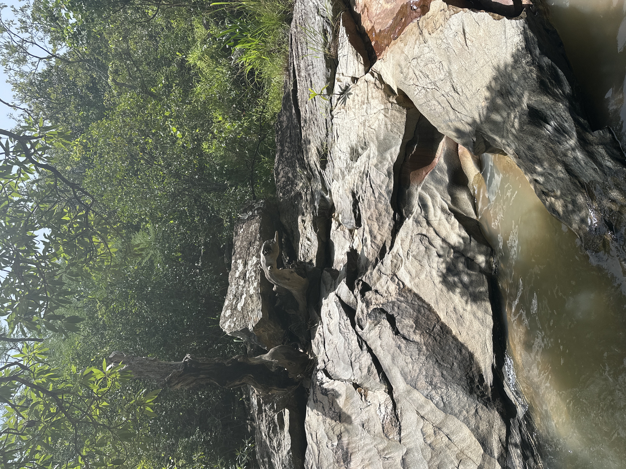 This is a photograph of a rocky stream bed in Fobur, Nigeria. The stream is shallow and the water is murky brown. The rocks are large and uneven, with some covered in moss and vegetation. Trees and dense foliage surround the stream, creating a lush, green environment. The sunlight filters through the leaves, casting dappled shadows on the rocks. In the center of the image, a piece of driftwood is lodged between two large rocks, adding an interesting element to the natural landscape. There are no people visible in the image. The scene is tranquil and undisturbed, suggesting a natural and secluded spot.