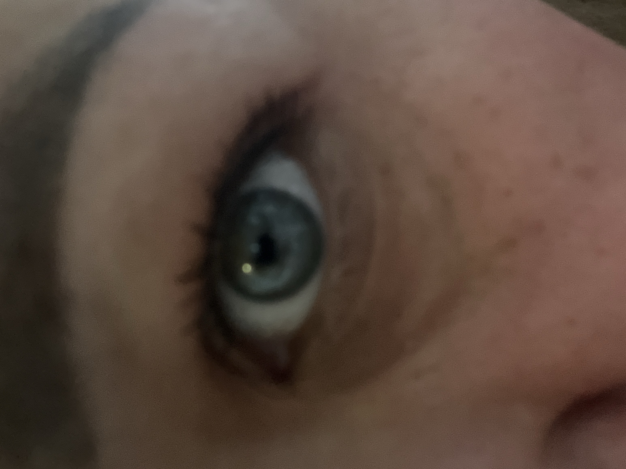 This close-up, soft-focused image captures a human eye at an angle. The subject's eye features a distinct blue-gray iris and a black pupil with a prominent, single bright white reflection, indicative of an artificial light source. Dark eyelashes are visible, especially on the upper lid. The surrounding skin is light-toned, showing some texture and subtle freckles on the right side of the frame. A dark eyebrow is partially visible in the upper left corner. The image is tightly framed, focusing solely on the eye and its immediate surroundings. No specific activity is depicted beyond the eye being open and directed. There are no discernible location cues, weather indicators, or visible text within the image itself. The general setting appears to be indoors due to the artificial light reflection. The context provided is Chaikovsky, Russia.