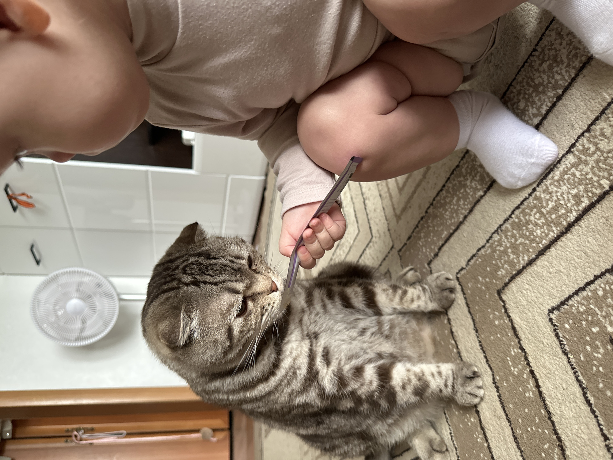 A close-up shot from an overhead perspective shows a child interacting with a cat on a carpeted floor. The child, wearing light-colored clothing and a white sock on one visible foot, is holding a small, rectangular object (possibly a card or small book) near the cat's face. The cat, a tabby with a striped pattern, is lying down and appears to be looking at or sniffing the object. A white fan is mounted on the wall in the background. The carpet has a geometric pattern of alternating light and dark brown stripes. The precise location of the scene is unknown.