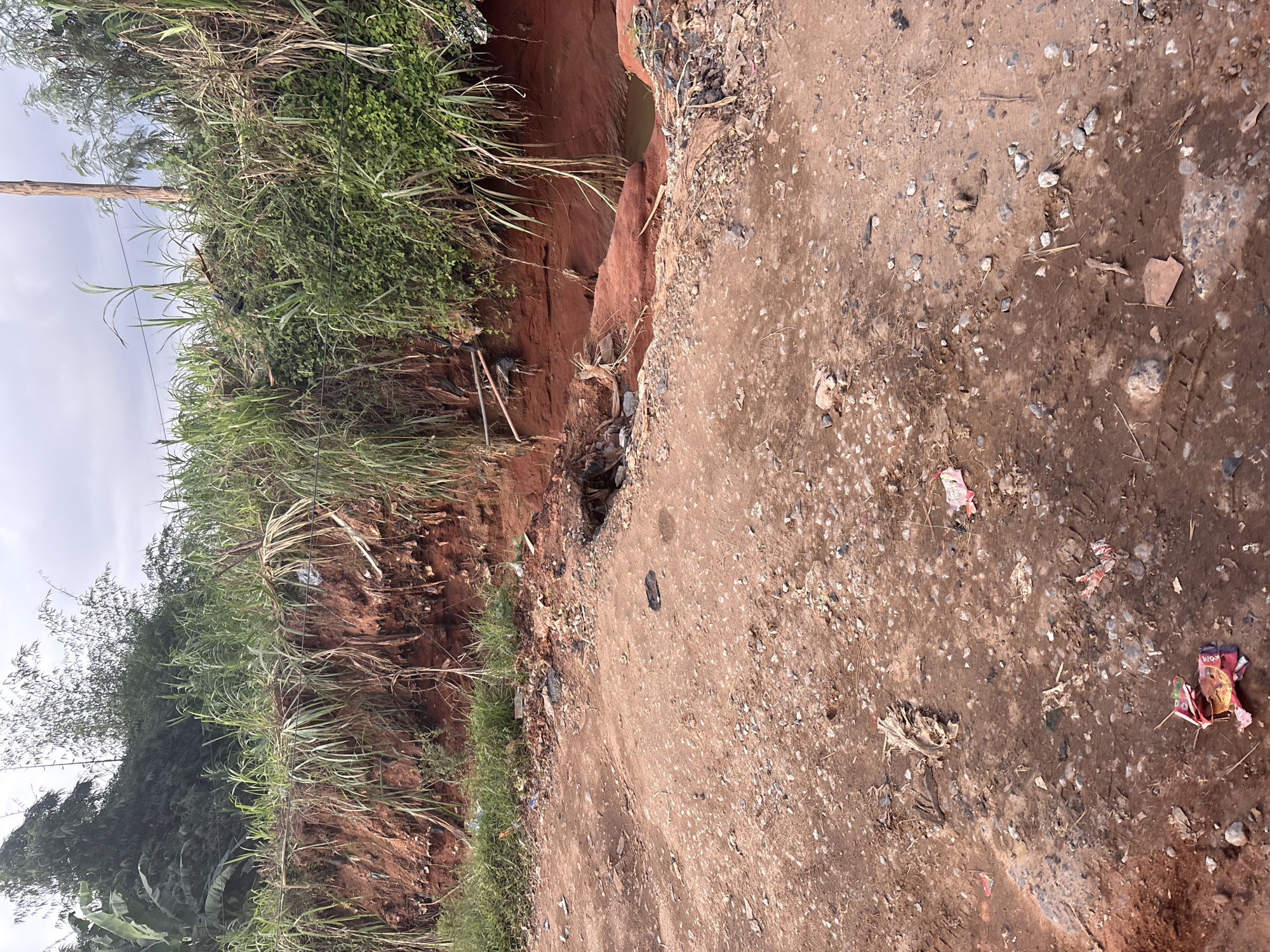 The image depicts a rural roadside in Orifite, Nigeria, characterized by a dirt path and a significant erosion gully on the right. The gully, exposing red earth, is overgrown with tall grasses and vegetation. Debris, including plastic wrappers and other refuse, is scattered along the edge of the path and within the gully. A wooden utility pole stands vertically on the right side of the frame, with visible wires running horizontally across the vegetation. The ground on the left and foreground is covered in loose dirt and small stones, with additional scattered debris. The sky above is overcast. There are no people or animals visible in the image.