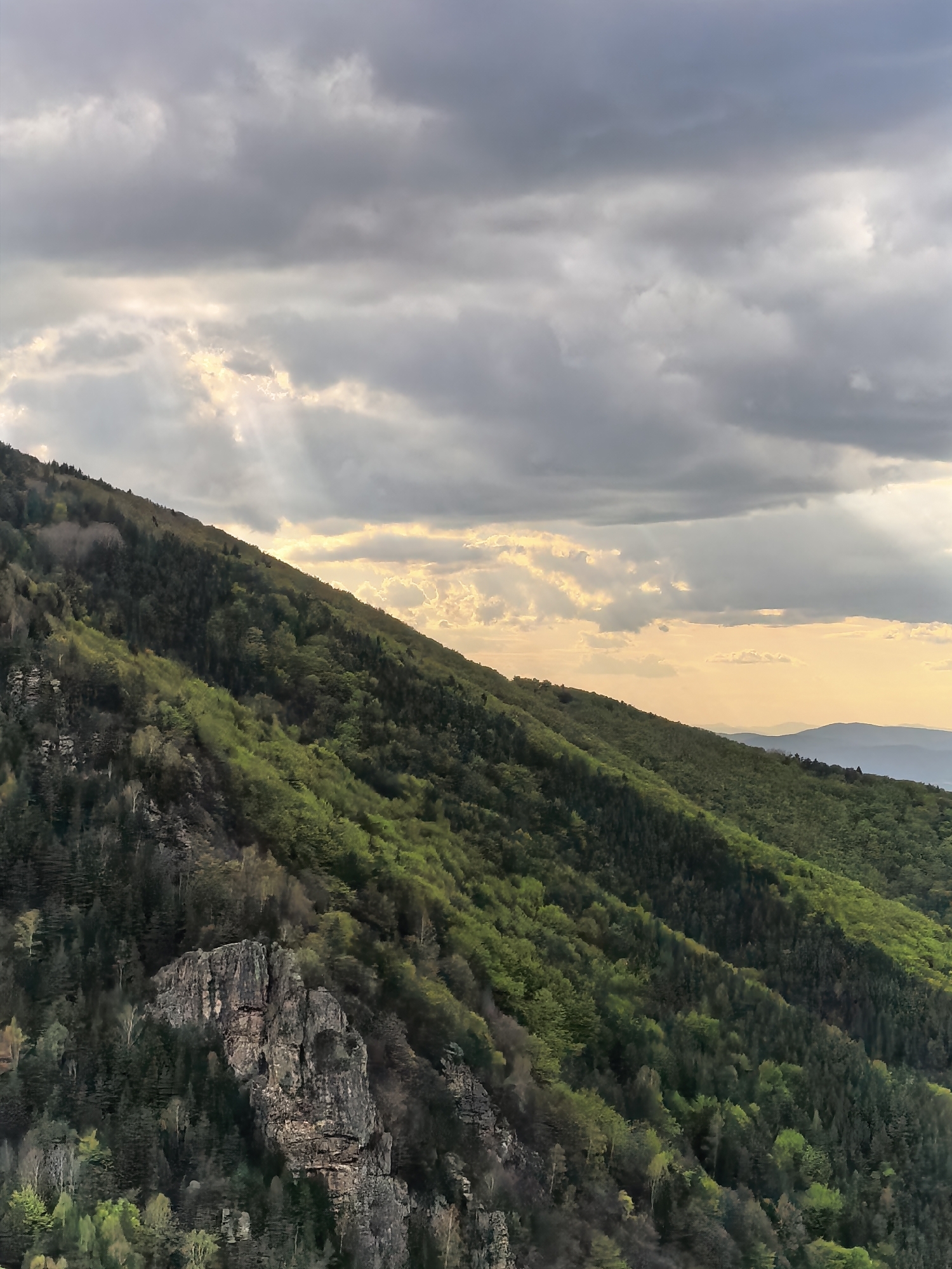 This vertical-oriented photograph captures a majestic mountainous landscape near Sapareva Banya, Bulgaria, during what appears to be late afternoon or early evening. The dominant feature is a steep, forested mountain slope that diagonally traverses the image from the upper left to the lower right. The dense forest exhibits a rich palette of greens, indicating a mix of deciduous trees with lighter, fresh foliage and darker coniferous trees. A striking, rugged rock formation juts out from the lower left portion of the slope, surrounded by trees.
Above the mountain, the sky is heavily overcast with dramatic grey and white clouds. However, pockets of sunlight break through the cloud cover, creating visible sun rays (crepuscular rays) that pierce the sky, particularly in the upper left. Towards the horizon on the right, the clouds clear sufficiently to reveal a warm, golden-orange glow from the low-hanging sun, illuminating distant layers of mountains with a soft, hazy light. No people or man-made structures are visible, emphasizing the untouched natural beauty of the scene. The dynamic lighting and lush greenery suggest a vibrant, possibly post-rain or transitional weather period. There is no visible text in the image.