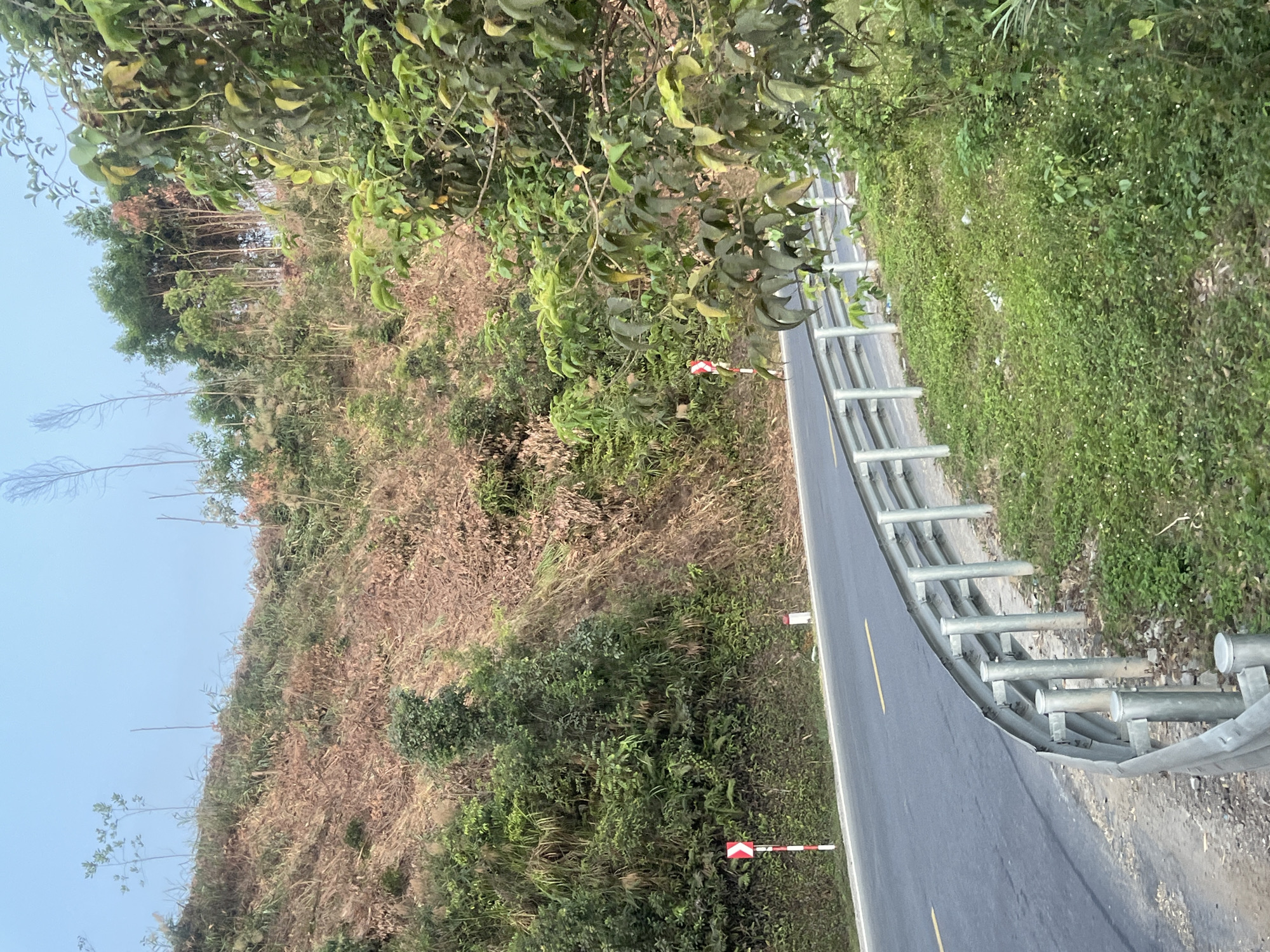The image shows a road in Aê Thi, Vietnam, curving along a hillside. A metal guardrail runs along the right edge of the road. The hillside is covered in vegetation, including trees, shrubs, and dry grasses. There are two reflective warning signs along the roadside. The sky is visible in the upper left of the frame, suggesting a daytime shot.