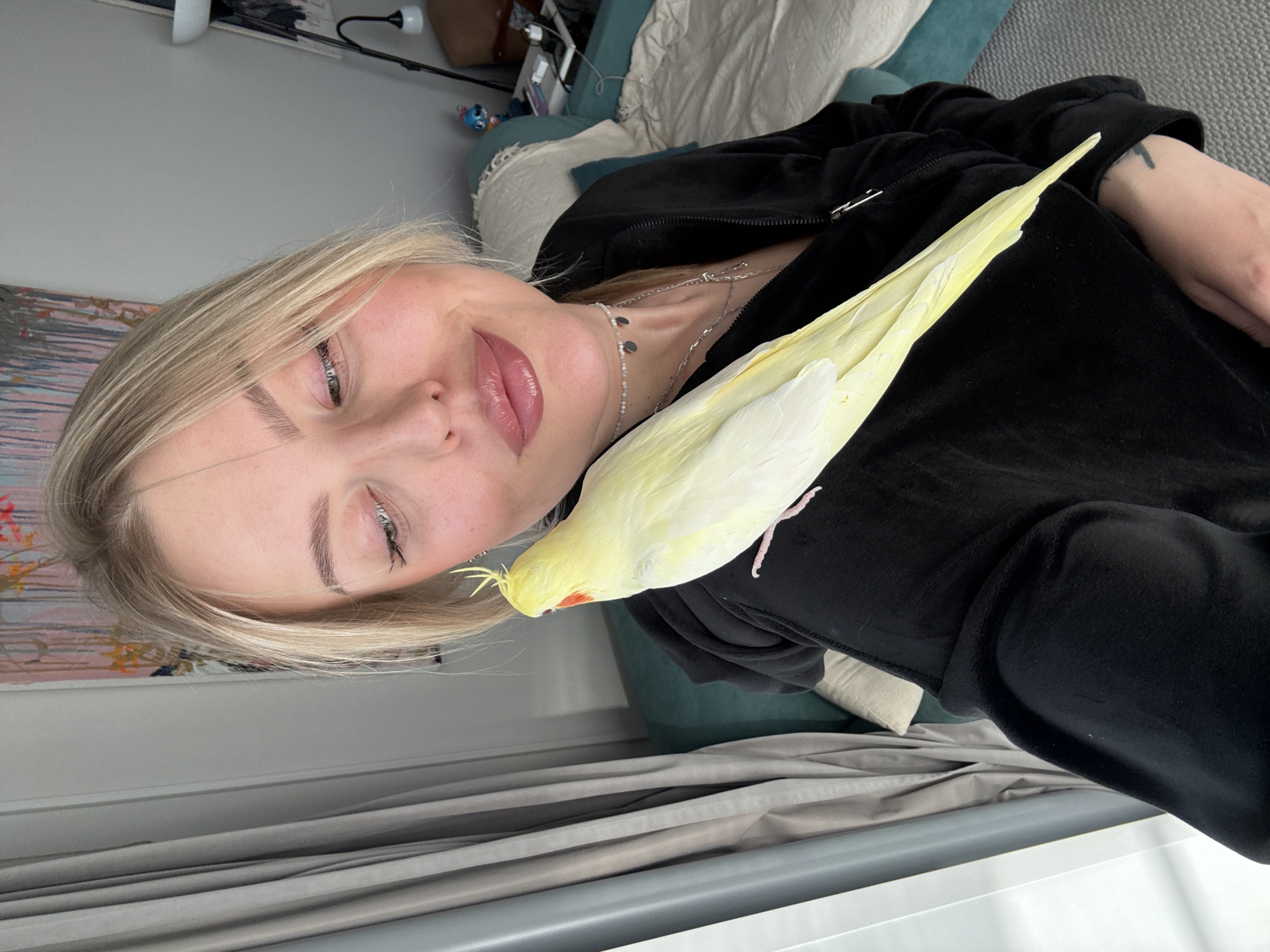 A portrait-style image, taken indoors in what is likely Krasnoyarsk, Russia, features a young blonde woman reclining with her pet cockatiel. The woman, positioned prominently, has light skin, defined green eyes with dark eyeliner, and subtly glossed lips curved into a gentle smile. Her blonde hair frames her face, and she wears a black, possibly velvet, zippered hoodie, adorned with several delicate silver chain necklaces around her neck.
Resting comfortably on her right shoulder and chest is a light yellow cockatiel. The bird has distinctive orange cheek patches and a small, spiky crest on its head, and is facing towards the woman's face. Its light pink feet are visible gripping her clothing, indicating a close and relaxed interaction.
The background reveals a domestic setting, likely a bedroom or living room. Behind the woman, a bed or sofa is visible, dressed with a dark teal pillow and light grey bedding. A light grey wall fills most of the background, with a hint of a colorful, abstract artwork on the far left. The lighting suggests it is daytime. The overall scene conveys a sense of calm and affection between the woman and her avian companion. There is no visible text in the image.