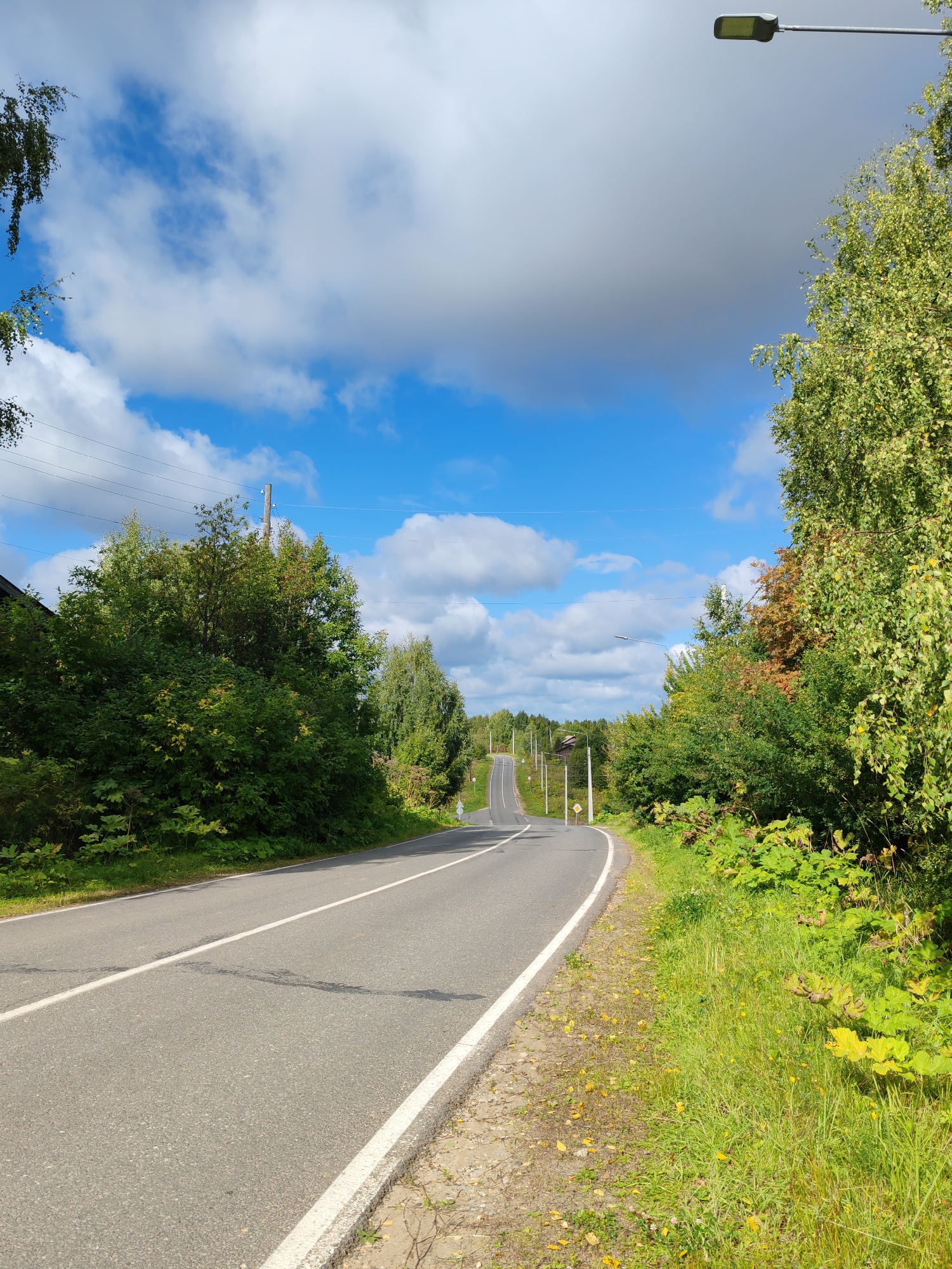 The image depicts a paved road winding through a rural landscape with lush green vegetation on either side. The sky is a vibrant blue with scattered white clouds, indicating fair weather. A street lamp is visible on the right side of the road, and power lines stretch across the horizon. The road has a white line marking the center and the edge. There are no people or vehicles visible in the frame. The scene is tranquil and appears to be located in a natural setting.