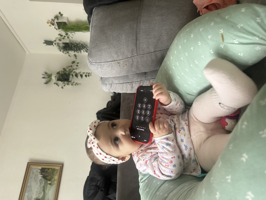 In an indoor residential setting in Strasbourg, France, an infant is positioned in a mint green patterned baby support cushion, facing slightly to the right of the camera. The baby wears a white headband with red hearts, a long-sleeved light-colored top with a floral or cherry pattern, light-colored tights, and white socks. The baby holds a smartphone encased in a red protective cover, with its screen displaying a numerical keypad and the text "Passcode Lock." The child's mouth is around the lower edge of the phone. Directly behind the baby is a grey fabric sofa. The wall behind the sofa is white. To the left, a framed landscape painting featuring mountains and a lake is mounted on the wall. To the right, three white wall-mounted decorative planters holding artificial green foliage and flowers are visible. Minor discoloration is present on the sofa cushion to the right and on the baby support cushion.