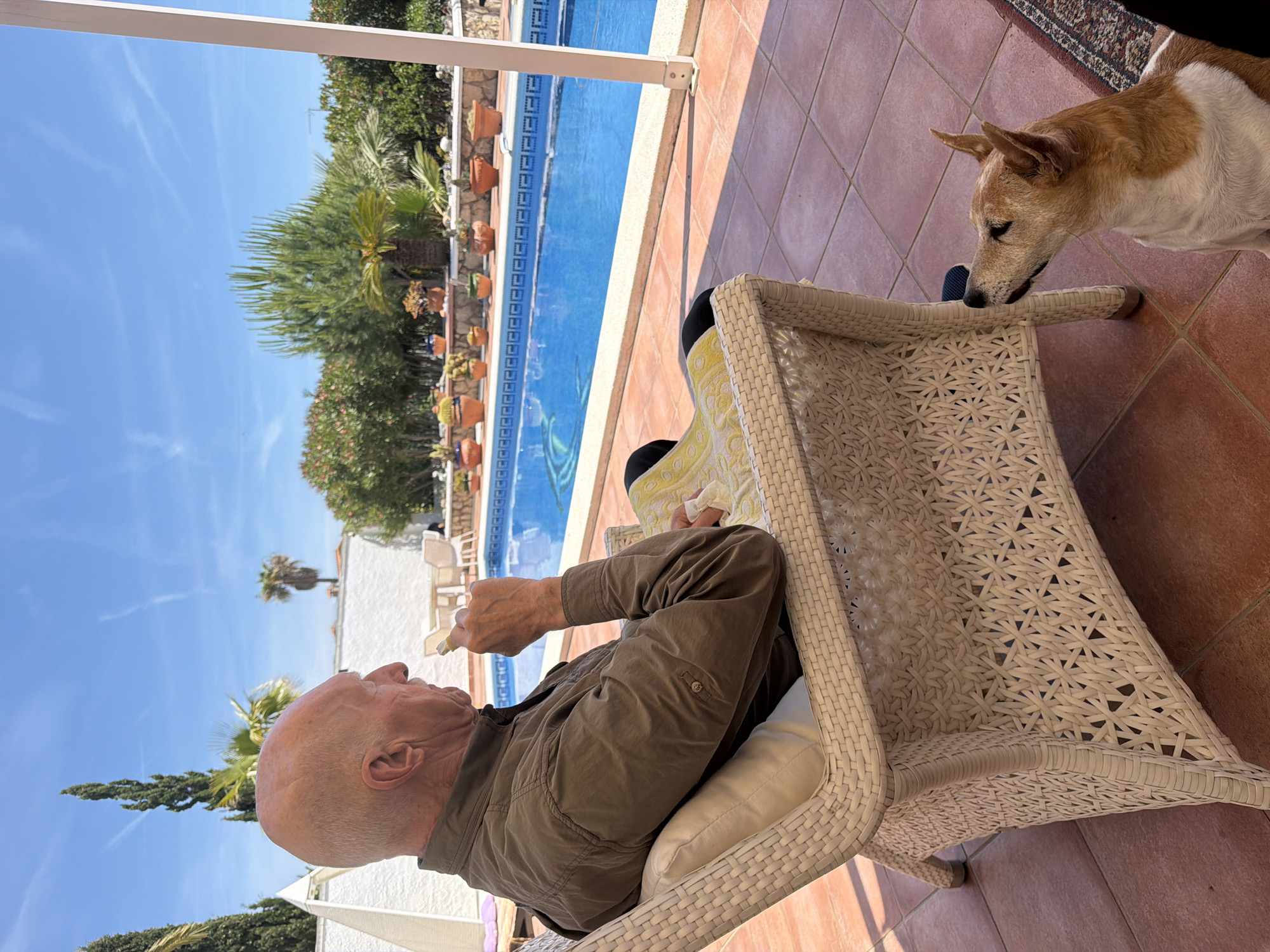 An older Caucasian man sits in a white wicker chair on a patio, holding what appears to be a cigarette or small tube in his right hand. He is bald, wearing a khaki-colored shirt. A tan and white dog stands near the chair, looking down at something by the chair's arm. Behind the man is a swimming pool with a row of potted plants along the edge. In the background, green trees and a white building are visible under a clear blue sky. The patio is tiled with terracotta-colored tiles. The scene seems to be taking place outdoors in a sunny environment. The location is Mont-roig del Camp, Spain.