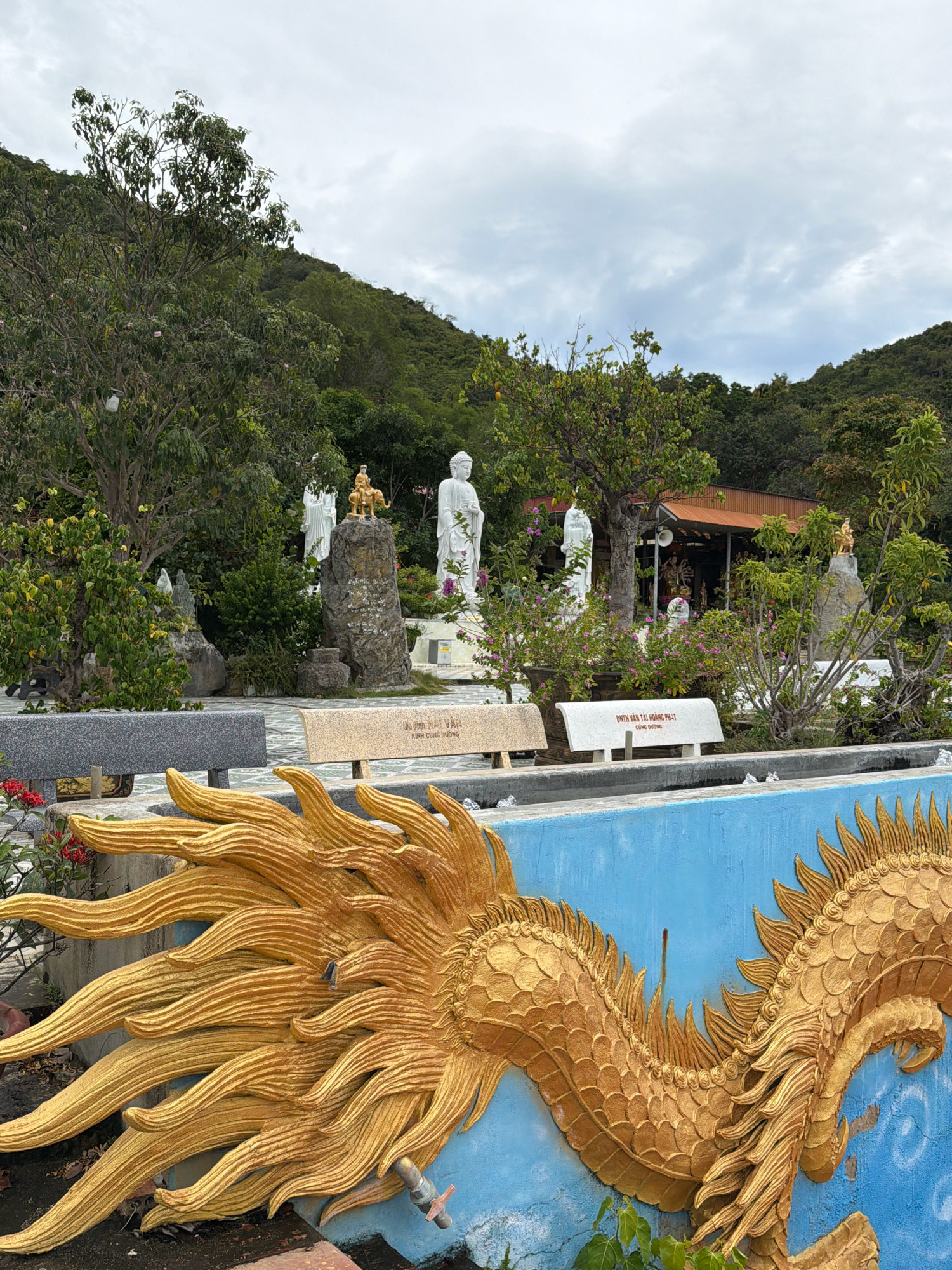 The image captures a serene Buddhist temple complex nestled amidst lush greenery on a hillside in Nha Trang, Vietnam. In the foreground, a striking golden dragon sculpture adorns a bright blue wall, its intricate scales and mane creating a dynamic visual. Behind the dragon, stone benches with inscribed Vietnamese text offer a place for contemplation.
Further into the complex, several white Buddha statues stand tall, some adorned with golden crowns, exuding a sense of peace and spirituality. One statue, smaller in size, depicts a figure atop an elephant. Behind these statues, a traditional Vietnamese-style building with a red-tiled roof is visible, likely serving as a place of worship or residence for monks. The surrounding landscape is a tapestry of verdant trees and flowering bushes, with a cloudy sky overhead suggesting a temperate climate. The overall scene evokes a sense of tranquility and cultural richness, characteristic of Buddhist sites in Vietnam.