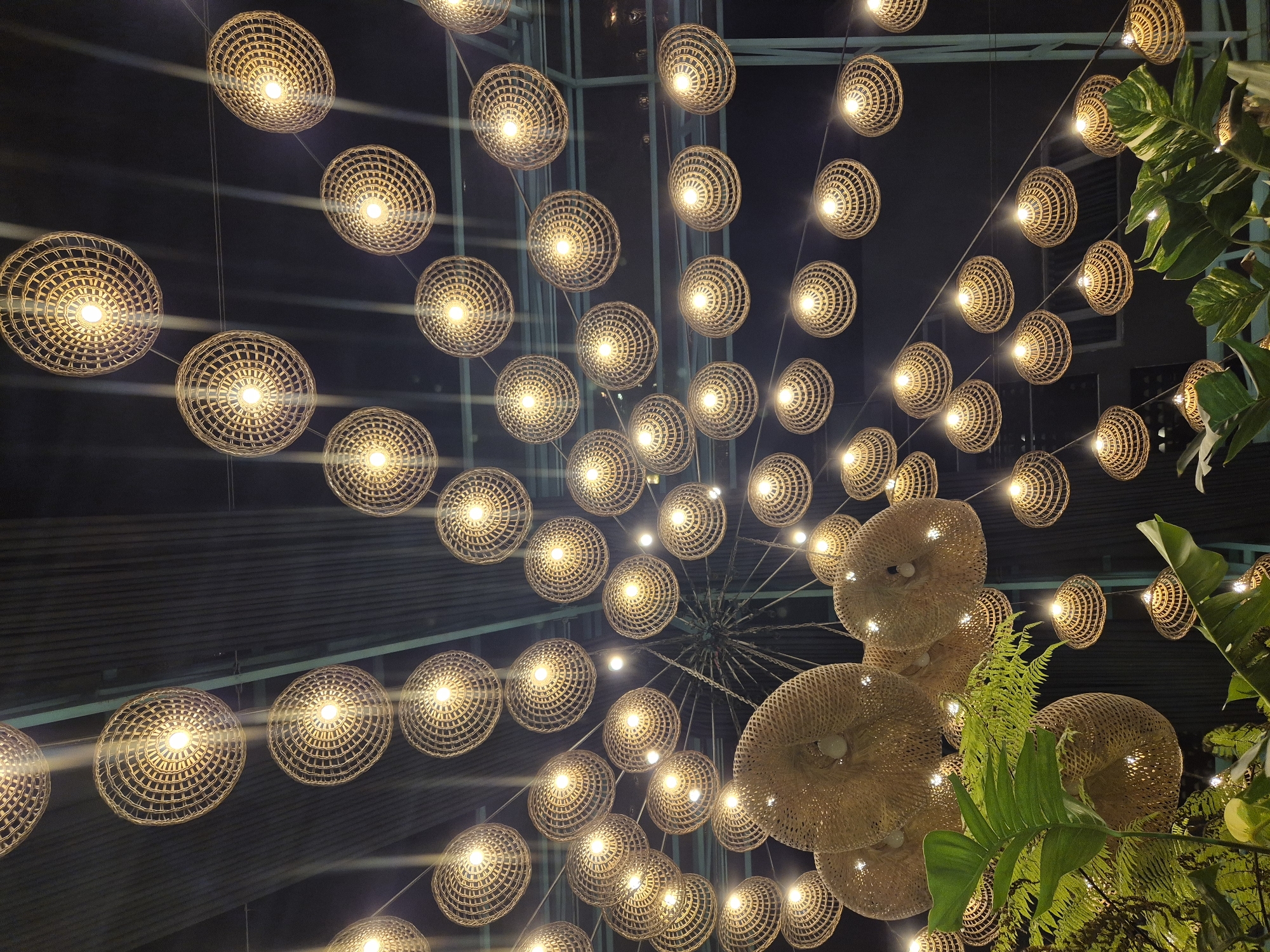 The image depicts a ceiling adorned with numerous woven pendant lamps, creating a warm and ambient atmosphere. These lamps are suspended at various heights, casting a golden glow against the dark ceiling. The lamps themselves are circular and intricately woven, with a visible light bulb inside each, emitting a bright, focused light. In the foreground, lush green foliage, including large, broad leaves and delicate ferns, adds a touch of nature to the scene. The overall impression is one of a stylishly decorated interior space, possibly a restaurant or cafe, with a focus on natural materials and soft lighting. This scene is likely from a location in Đà Nẵng, Vietnam, given the prominent use of woven materials often seen in Southeast Asian decor and the tropical foliage.