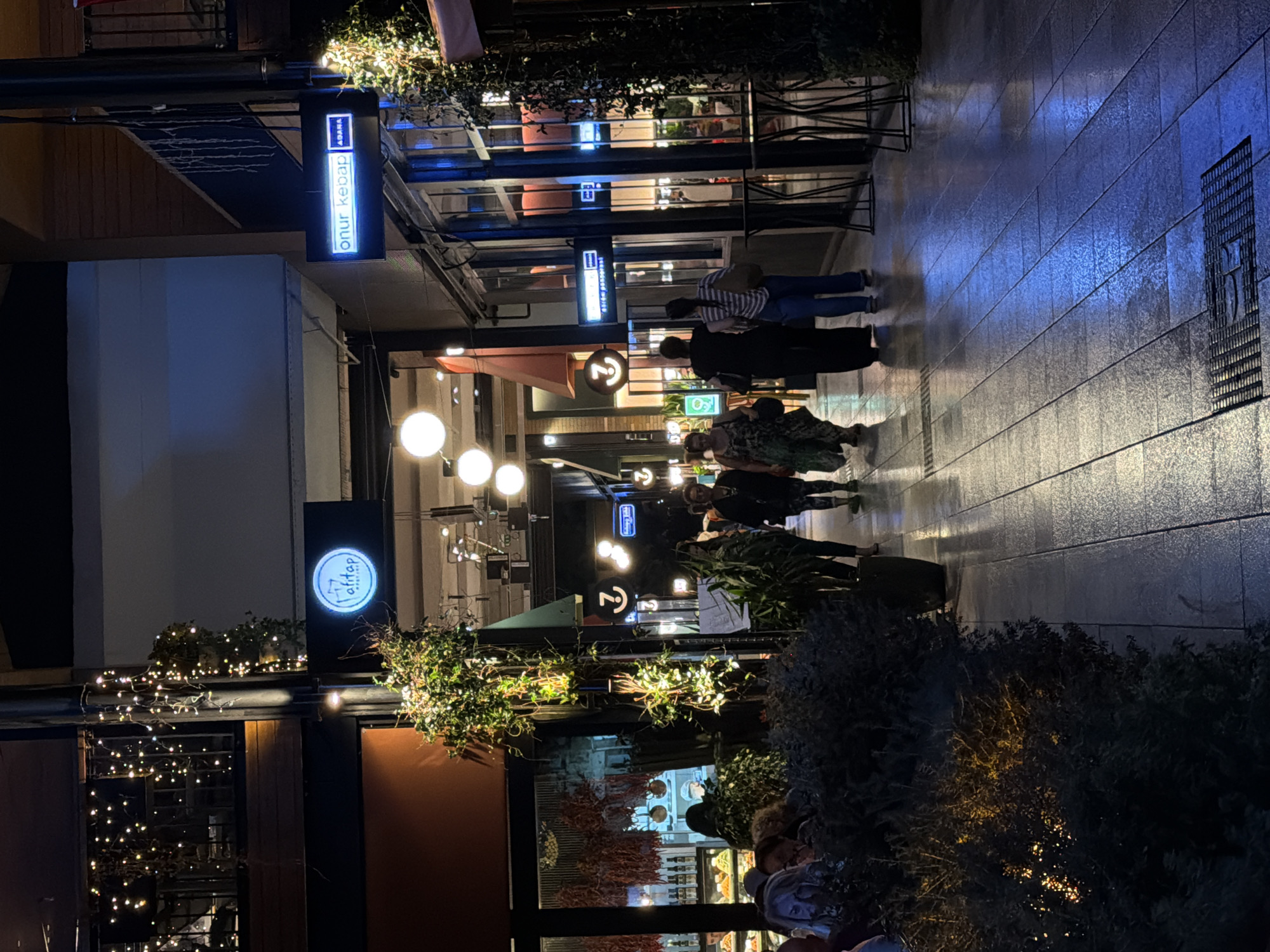 The image depicts a nighttime scene of a pedestrian walkway in Kadıköy, Turkey, likely a commercial area with shops and restaurants. The walkway is paved with large, dark tiles, some of which reflect the blue and yellow lights from the surrounding establishments. String lights are visible draped along balconies and intertwined with foliage, adding to the festive atmosphere.
Several people are walking along the path. In the foreground, the dark, dense foliage of bushes partially obscures the view. Further down the walkway, individuals dressed in casual attire are seen. Some are walking towards the camera, while others are moving away. Their interactions are not discernible.
Prominently displayed are illuminated signs for businesses. One sign, a circular logo with blue and white text, reads "taftap." Another rectangular sign in blue and white states "onur kebap ADANA." Further down, other illuminated signs and the windows of businesses suggest a vibrant commercial street. The environment appears well-lit by a combination of artificial lights, creating reflections on the wet or polished pavement. The overall impression is of a lively, urban nighttime setting.