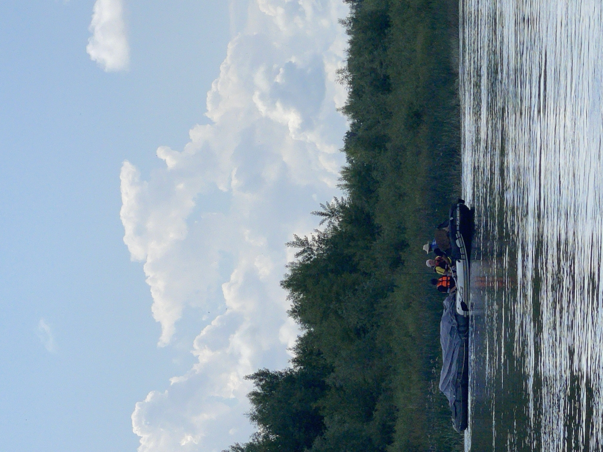 In a tranquil, sunlit scene, a small, inflatable boat navigates a calm body of water, its surface rippling under a bright blue sky dotted with fluffy white clouds. The boat, dark and sleek, carries three individuals. Two people in the middle are wearing bright orange life vests, indicating a measure of caution. One is looking forward, while the other appears to be looking to the side. A third person, further back in the boat, wears a light-colored hat and is also looking forward. The boat itself has a dark tarp covering a significant portion of its interior, obscuring whatever might be underneath. The water is reflective, mirroring the dappled light and the distant, lush green foliage that lines the shore. This dense wall of trees and reeds forms a natural barrier, suggesting a remote or undeveloped area. The overall impression is one of a peaceful excursion or an official activity taking place in a natural environment, possibly along the banks of a river or a lake in the vicinity of Нежинка, Russia.
