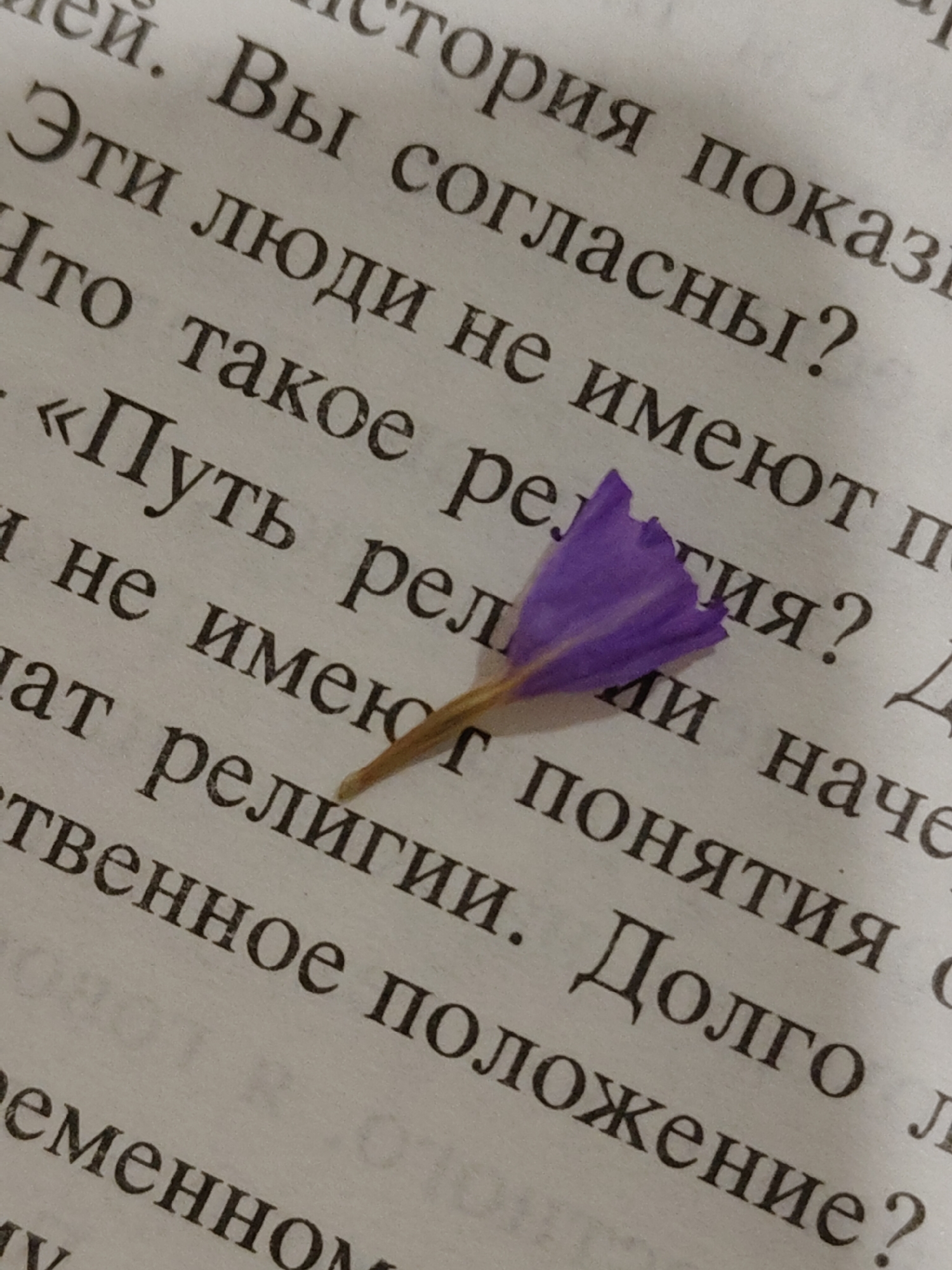 A close-up image depicts a single, purple flower petal lying on a page of text printed in Cyrillic. The petal appears to be from a small flower and has a short stem that is brown in color. The text on the page is dark and visible, with words and phrases like "Вы согласны?" (Are you in agreement?) and "Путь религии" (The path of religion). The background is the slightly off-white color of the book's paper.