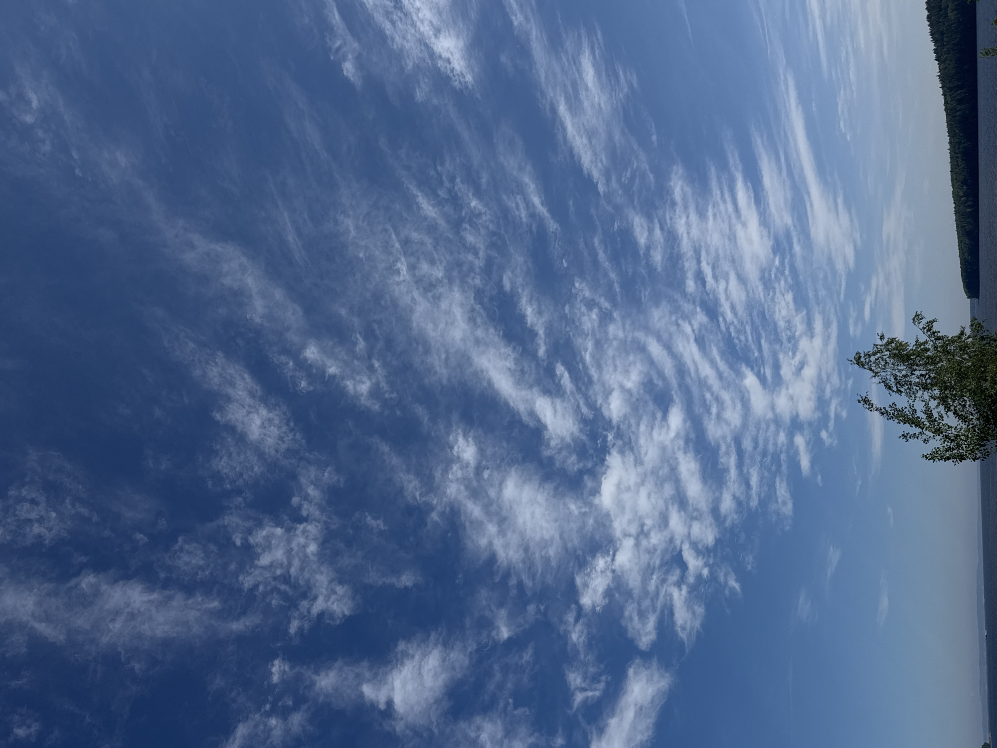 A picturesque daytime landscape captures a vast blue sky filled with delicate, wispy white cirrus clouds that stretch across the upper portion of the frame. The clouds are elongated and appear to move from left to right, creating streaky patterns against the clear blue. The sky transitions from a vibrant blue overhead to a slightly paler hue towards the horizon.
Below the sky, a calm body of water, likely a lake or wide river, extends across the lower part of the image. The water's surface is smooth, with subtle reflections. A dense, dark green forest lines the far bank of the water body, forming a clear horizon line. In the bottom right corner, the green foliage of a tree or bush partially extends into the frame, suggesting the photo was taken from a natural, possibly waterfront, vantage point.
There are no visible people, specific objects beyond the natural elements, or text. The scene conveys a serene, open natural environment, characteristic of a sunny day in Chaikovsky, Russia.