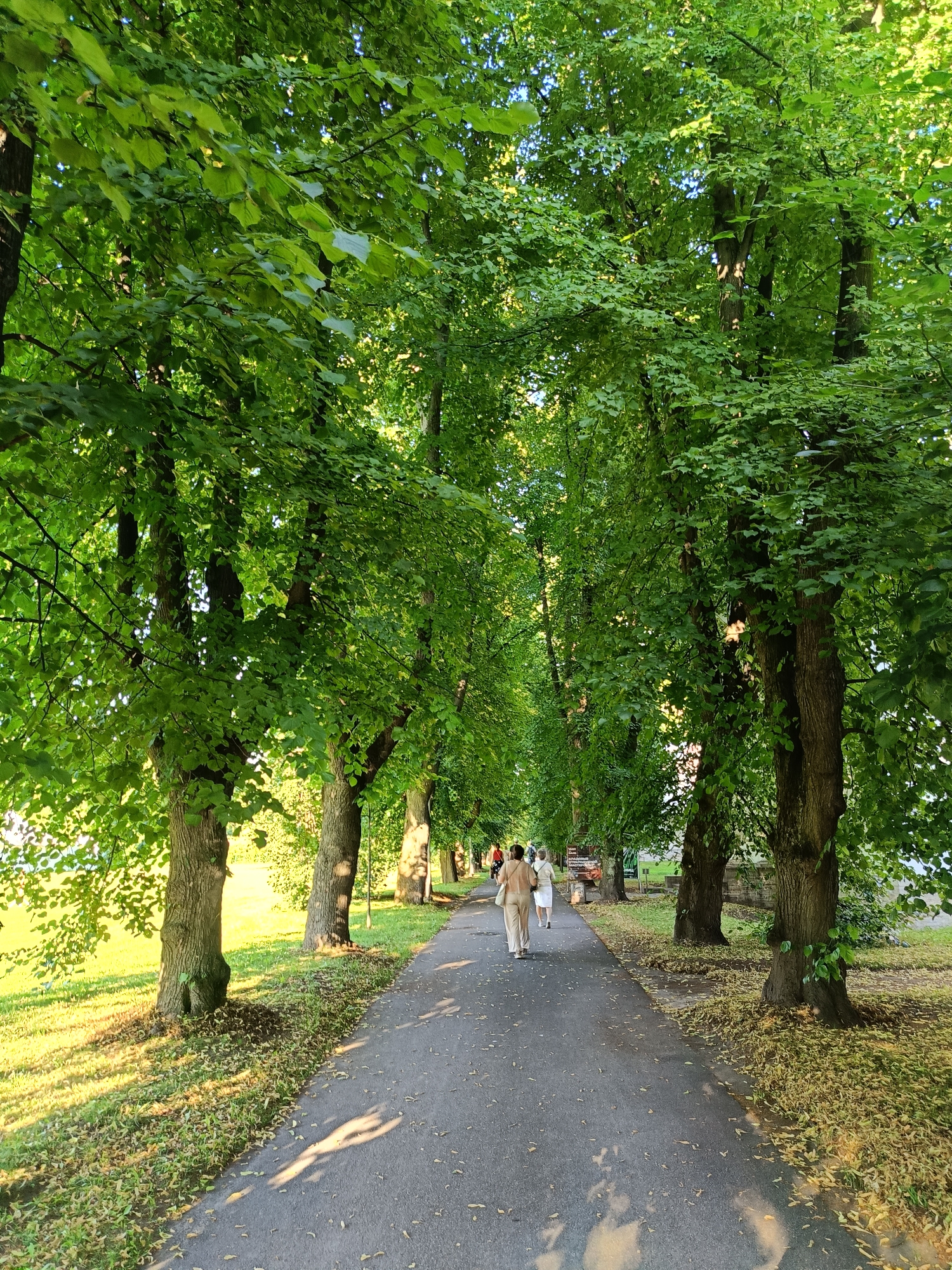 The image depicts a tree-lined pathway in a park, likely in Saint Petersburg, Russia. Two individuals, one in a light-colored outfit and another in a white dress, are walking away from the viewer along the asphalt path. The path is bordered by lush green trees on both sides, their branches forming a canopy overhead, dappled with sunlight. The ground is covered with fallen leaves, predominantly yellow and green, suggesting it is late spring or early summer. The setting appears to be a tranquil, verdant urban park.