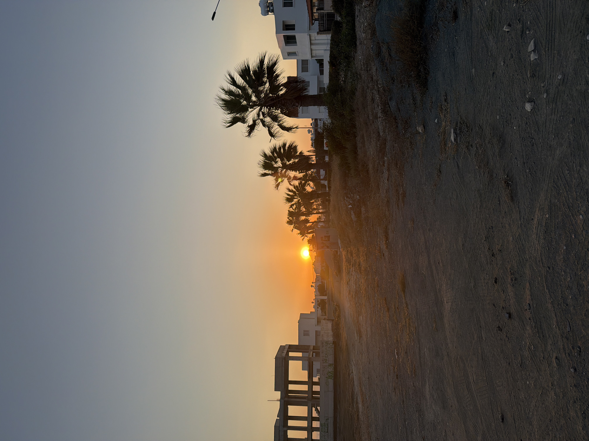 A vertical, eye-level shot captures a sunset scene in Meneou, Cyprus. The sky is a gradient of pale blue at the top, transitioning to soft orange and yellow near the horizon. The sun, a bright, radiant circle, is partially obscured by palm trees and low-lying structures.
In the foreground, a dusty, unpaved lot with tire tracks is visible. Scattered rocks and dry grass dot the ground. To the left, an unfinished concrete building with exposed rebar stands starkly against the sky. Further into the scene, a row of white houses with dark-framed windows are visible. Several palm trees, silhouetted against the sunset, punctuate the landscape. One particularly large palm tree with long, drooping fronds is prominent on the right. A street lamp is visible on the far right, its dark silhouette contrasting with the bright sky. The scene appears quiet and underdeveloped, suggesting a construction or residential area in transition.