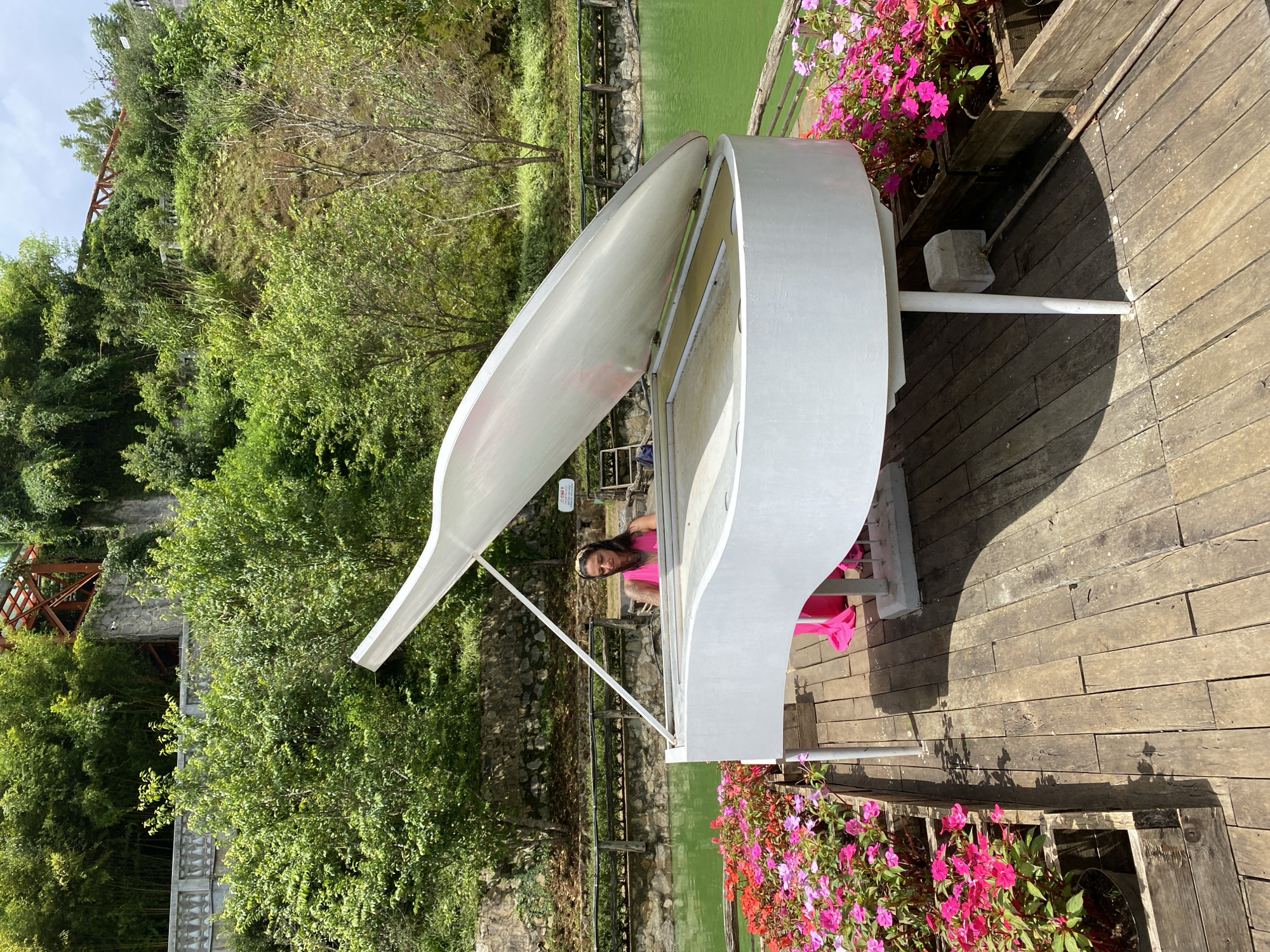A woman in a vibrant pink dress sits at a white grand piano on a wooden deck. The piano is positioned outdoors, overlooking a tranquil body of green water. Surrounding the deck are planters filled with an abundance of pink and red flowers. In the background, lush green trees and vegetation climb a gentle slope, with a stone wall and a rustic fence visible. The scene appears to be set in a natural, scenic location, likely a park or garden, with elements suggesting a peaceful retreat. The woman is looking down at the piano keys, and her hands are positioned as if to play. The white piano, with its lid propped open, stands out against the natural backdrop. The image captures a moment of serene outdoor enjoyment, possibly in the city of Cam Ly - Đà Lạt, Vietnam, known for its natural beauty and gardens.