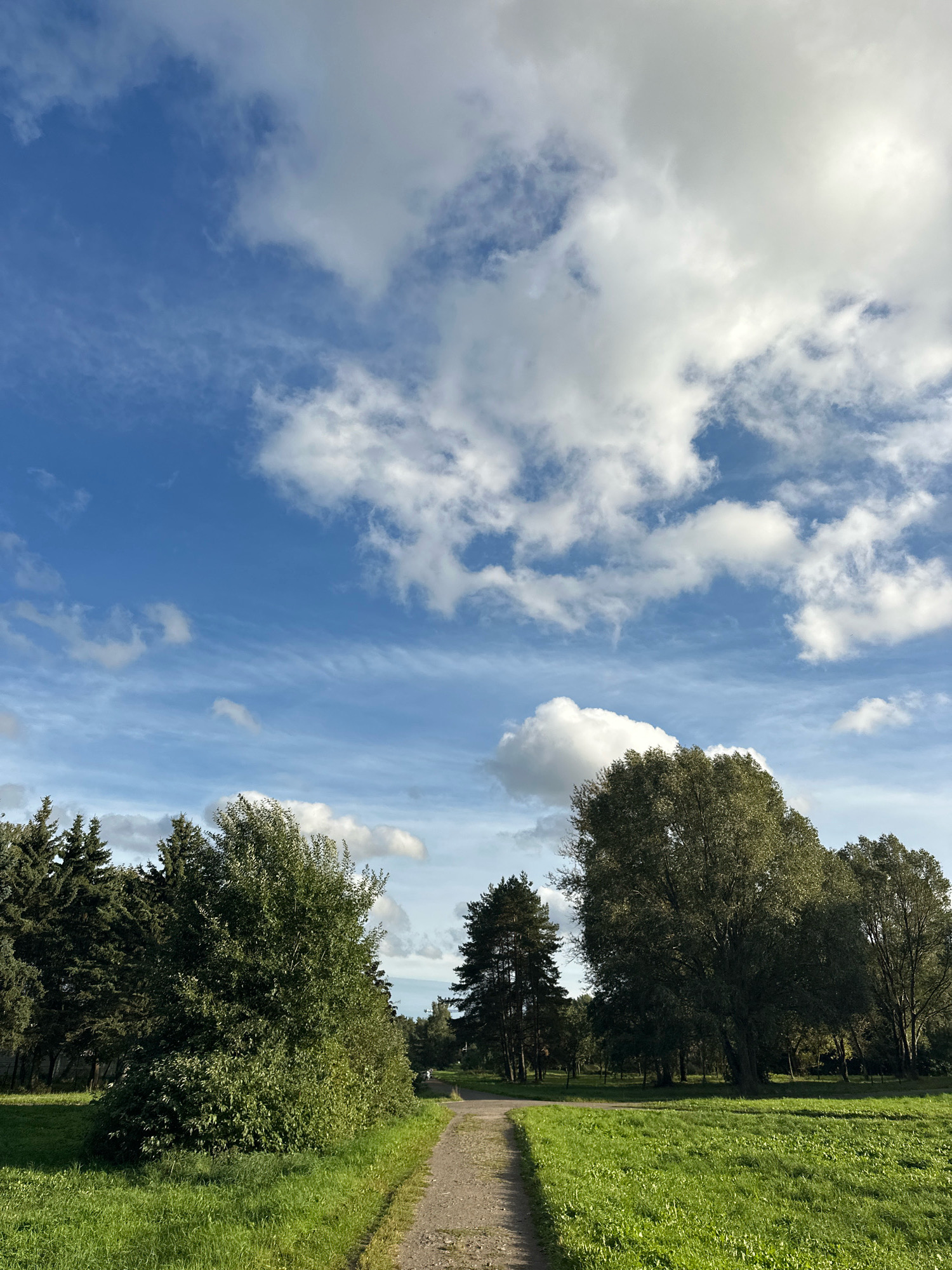 The image depicts a scenic view of a park in Minsk, Belarus, on a partly cloudy day. A dirt path winds through a lush green grassy field, leading towards a dense cluster of trees. The trees vary in type and height, with some appearing as tall evergreens and others as broadleaf deciduous trees. In the background, more trees form a natural backdrop, and a hint of a person can be seen in the distance, possibly walking or enjoying the park. The sky is a vibrant blue, interspersed with fluffy white and wispy gray clouds, suggesting a dynamic and pleasant weather condition. The overall scene conveys a sense of tranquility and natural beauty within an urban park setting.