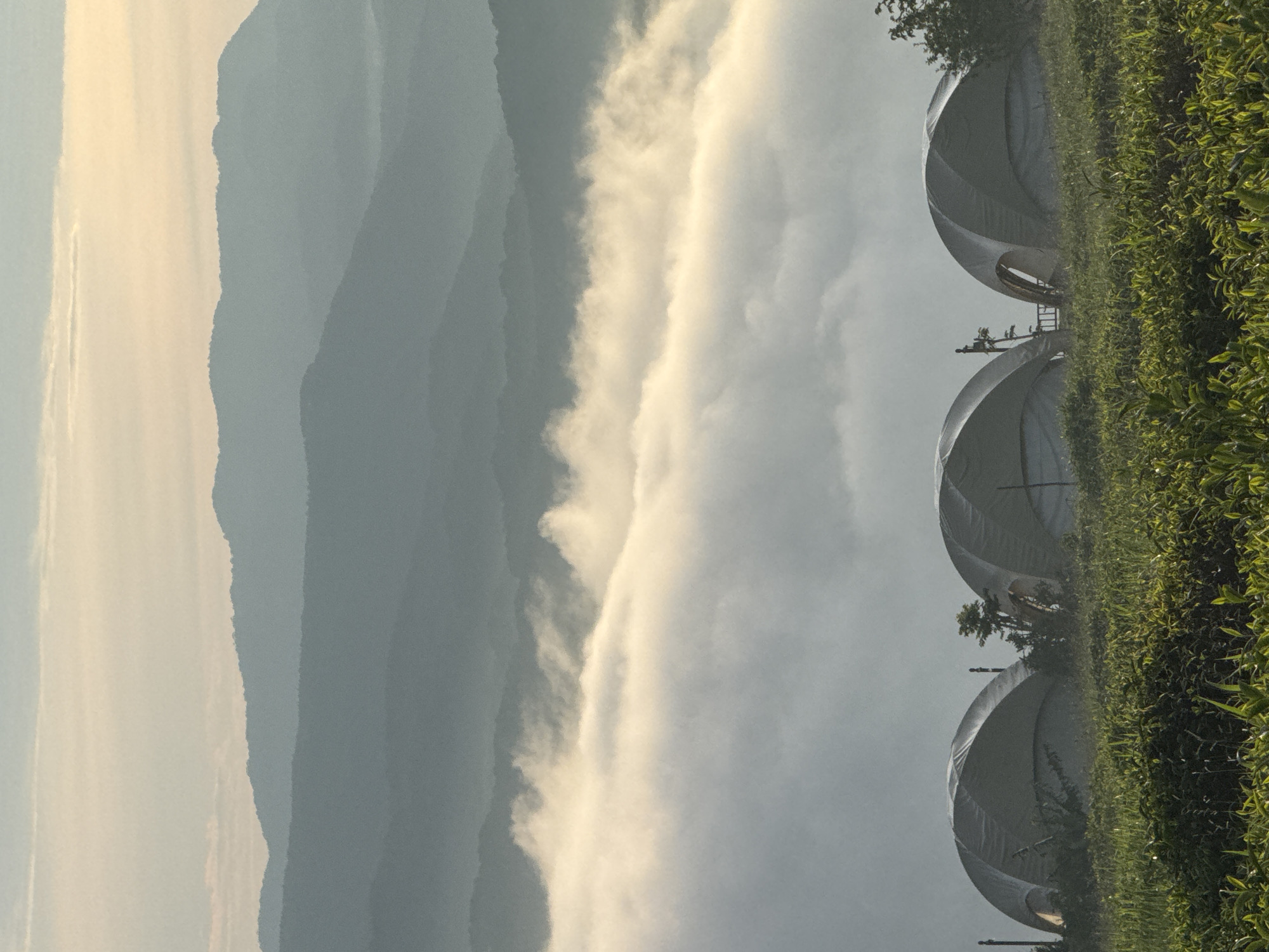 The image captures a serene mountain landscape in Phát Chi, Vietnam, likely during sunrise or sunset, given the soft, diffused light. In the foreground, lush green foliage, possibly a tea plantation, blankets a gentle slope. Three dome-shaped tents, their fabric illuminated by ambient light, are situated on a higher elevation, suggesting a glamping or resort setting. These structures are partially obscured by the dense vegetation.
Beyond the tents, a thick layer of clouds or fog carpets the valleys, creating a dreamy, ethereal effect. This misty layer separates the foreground from the distant mountain ranges, which recede into the background in soft, hazy layers of blue-gray. The topmost mountains are silhouetted against a pale sky with subtle streaks of color, indicating either the dawn or dusk. There are no people visible in the image. The overall atmosphere is one of tranquility and natural beauty.