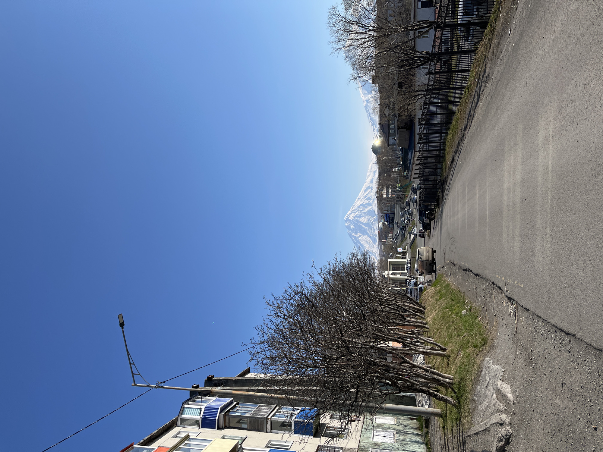 The image captures a street scene in Petropavlovsk-Kamchatsky, Russia, with a clear blue sky dominating the upper portion. In the distance, a snow-capped mountain is visible. On the right side of the image, an asphalt road stretches into the distance, bordered by a dark fence and bare trees. The left side of the image features a multi-story building with a streetlamp in front of it, and more bare trees lining the street. Cars are parked along the road. The composition gives a perspective down the street, highlighting the juxtaposition of urban elements with the natural landscape.