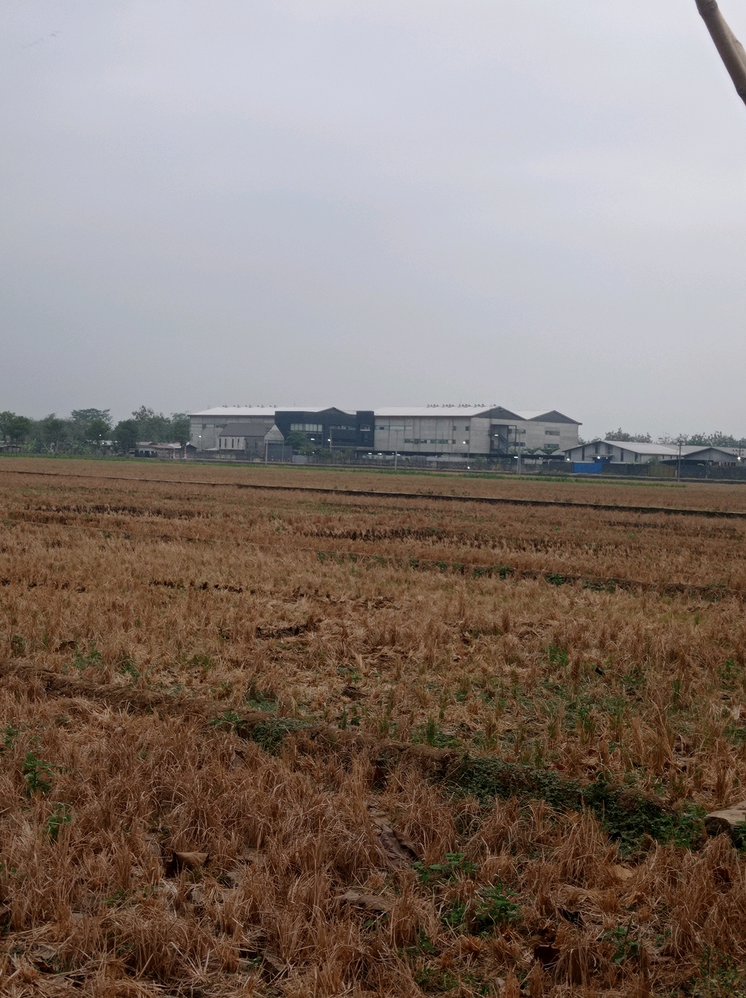 The image shows a wide, dry, harvested field with rows of stubble in the foreground, suggesting agricultural activity. In the background, a large, modern industrial complex with a white roof and dark gray walls is visible, along with some smaller buildings and trees. The sky is overcast, creating a muted and uniform light. The location is identified as Toyareka, Indonesia.