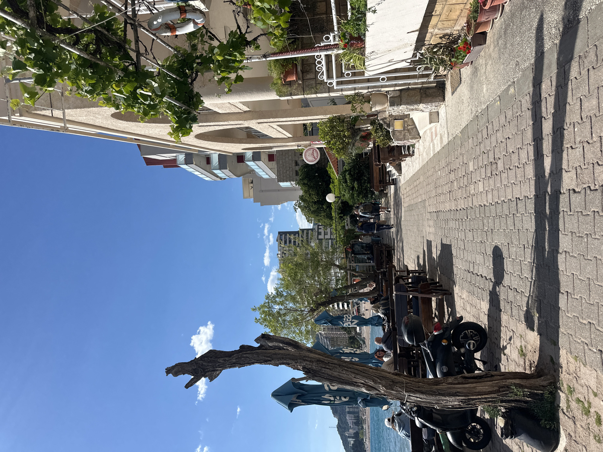 The image depicts a waterfront scene in Rafailovići, Montenegro. The scene is a mix of urban and natural elements. A pedestrian walkway, paved with interlocking bricks, runs from the bottom right to the upper right. The walkway is lined with cafes and restaurants with outdoor seating, including tables, chairs, and sun umbrellas. A dead tree branch frames the lower left of the image. Two parked mopeds sit near the tree. Beyond the walkway, the Adriatic Sea stretches into the distance, with mountains rising from the water. Above the walkway, buildings are visible, including multi-story structures and older, more ornate architecture. A blue sky with scattered clouds is overhead. Shadows cast by trees and buildings are visible on the walkway. People are seated at the cafe tables.