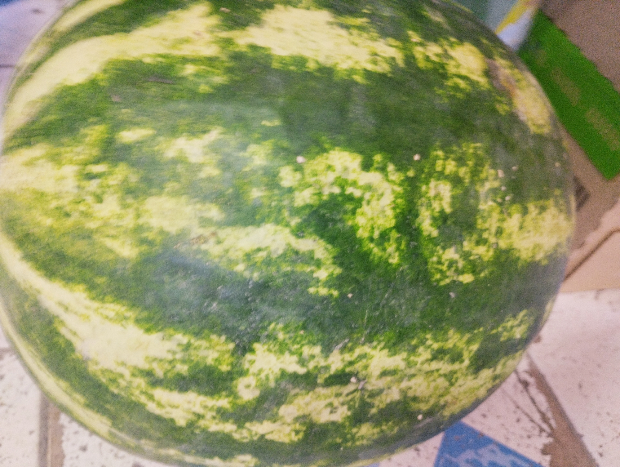 A close-up, slightly blurry shot shows the rind of a watermelon. The rind has alternating stripes of dark green and pale yellow-green. The watermelon is resting on a light-colored, possibly tiled surface. In the background, out of focus, a green object and a brown cardboard box are visible. The scene appears to be indoors, possibly a market or grocery store setting, in Калыс-Ордо жаңы курулушу, Kyrgyzstan. There are no people or animals in the image.