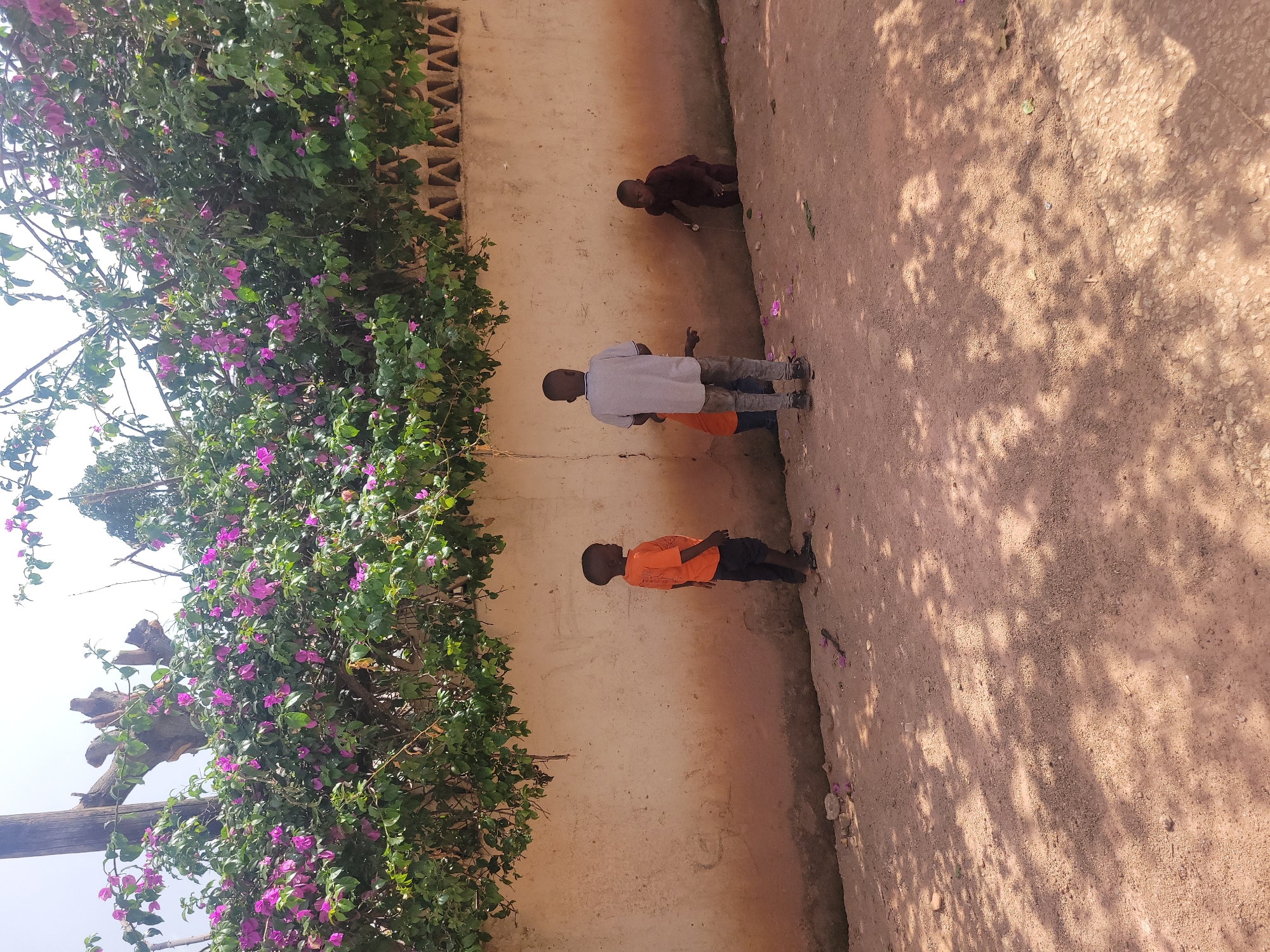 Four children stand outside along a building in Jos, Nigeria. A light peach-colored wall runs vertically along the left side of the image, adjacent to a dirt ground on the right. Vibrant purple bougainvillea cover the wall on the left side of the wall. One child is wearing a brown shirt, one in a white shirt, one in orange and the other in orange shirt.