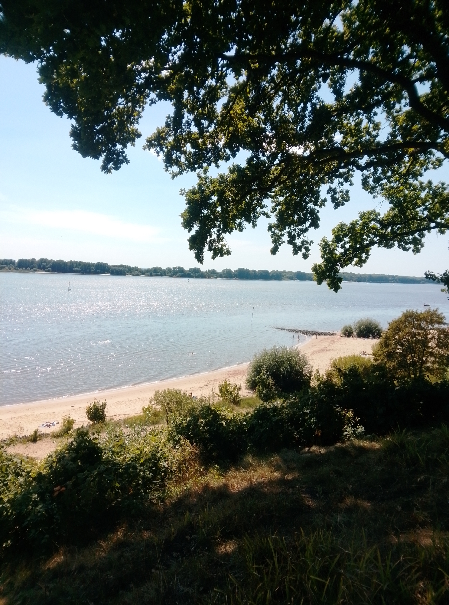 This image depicts a sunny day at a beach along a wide river, likely the Elbe River, in Wedel, Germany. In the foreground, lush green trees with dark foliage frame the scene from above and the right, casting shadows on the ground covered with grass and dry leaves. A sandy beach occupies the middle ground, leading to the calm, sparkling river. The river is dotted with a few small sailboats and buoys, and a thin line of trees forms the distant bank. Several people are visible on the beach, some sunbathing, others wading in the shallow water, and a few appear to be walking along the shore. The sky is a clear, light blue with a few faint clouds. The overall impression is one of a peaceful, recreational summer day by the water.