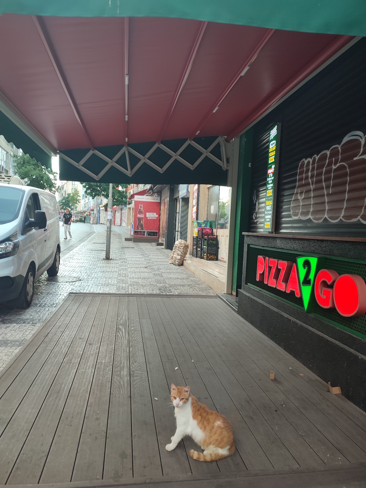 The image depicts a street scene in Kadıköy, Turkey, with a focus on a pizza establishment. In the foreground, an orange and white cat is sitting on a wooden deck. To the right, a storefront with a black shutter is visible, featuring a neon sign that reads "PIZZA 2 GO." The sign has red lettering for "PIZZA" and green lettering for "2 GO." Above the storefront, a red awning extends outwards. Further down the street, a white van is parked on the left side, and several people are walking along the sidewalk. The street is paved with cobblestones, and buildings line both sides of the street. A red Coca-Cola vending machine is also visible. The overall atmosphere suggests a commercial area in an urban setting.