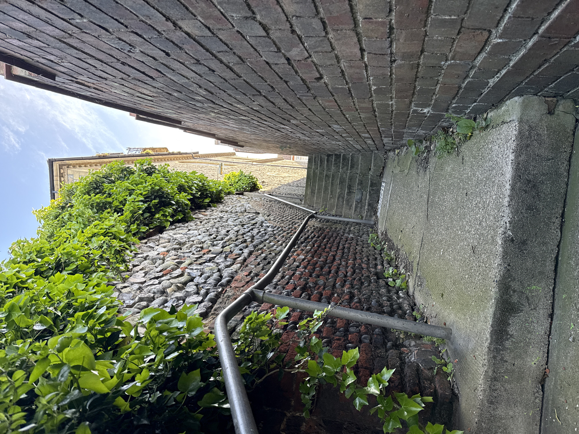 An upward-angled view showcases a narrow alleyway in Great Yarmouth, United Kingdom. The alley floor consists of irregular cobblestones, transitioning to a brick surface near the center. A gray metal handrail runs along the length of the alley, following the incline. Dense green ivy and other vegetation cling to the walls on both sides. One wall is made of bricks, while the other is constructed of concrete and brick. A structure is visible above, and a patch of the sky is visible.