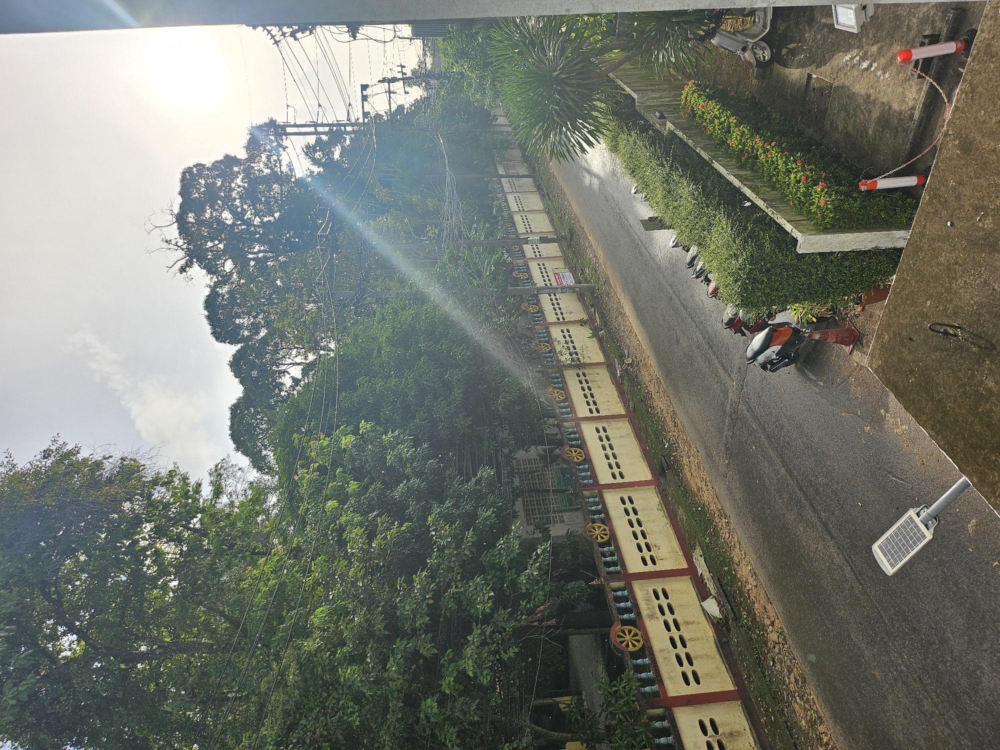 The image shows a street in Kathu, Thailand, with a row of parked motorcycles along a hedge. A wall with decorative yellow circular motifs runs along the opposite side of the street, separating it from lush trees and power lines. The sky is bright, with the sun creating lens flares across the scene. The road appears wet, possibly from recent rain. A solar-powered street lamp is visible in the foreground on the right side of the image.