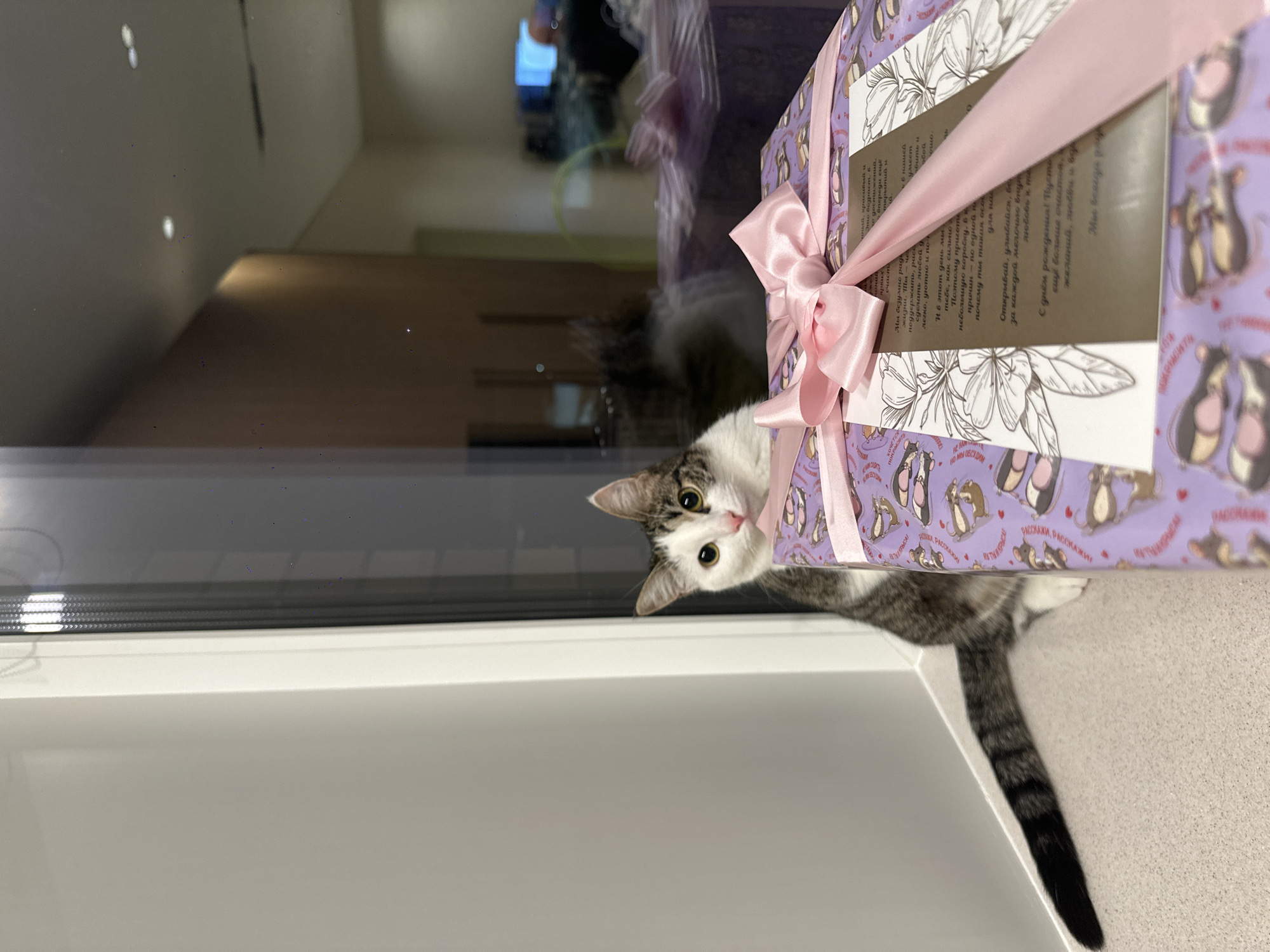 This image, captured indoors in Noviy, Russia, presents a domestic cat partially obscured by a wrapped gift. A white and grey tabby cat with yellow eyes and a pink nose is positioned behind a large purple gift box, peering over its top edge towards the viewer. The cat's tail, striped with dark and light bands, extends to the left on a light-colored surface. The gift box is wrapped in purple paper featuring a repeating pattern of light-colored ballet slippers and dancing mice. A prominent pink satin ribbon is tied around the gift, forming a bow on top. A greeting card, illustrated with line-art flowers and bearing Russian text including "С днем рождения!" (Happy Birthday!), is tucked beneath the ribbon. The immediate background to the left shows a plain white wall and a white vertical frame, likely a window or door jamb. The background to the right consists of a reflective glass surface, showing blurred reflections of an interior space with recessed ceiling lights, a brown wall, and distant electronic screens.