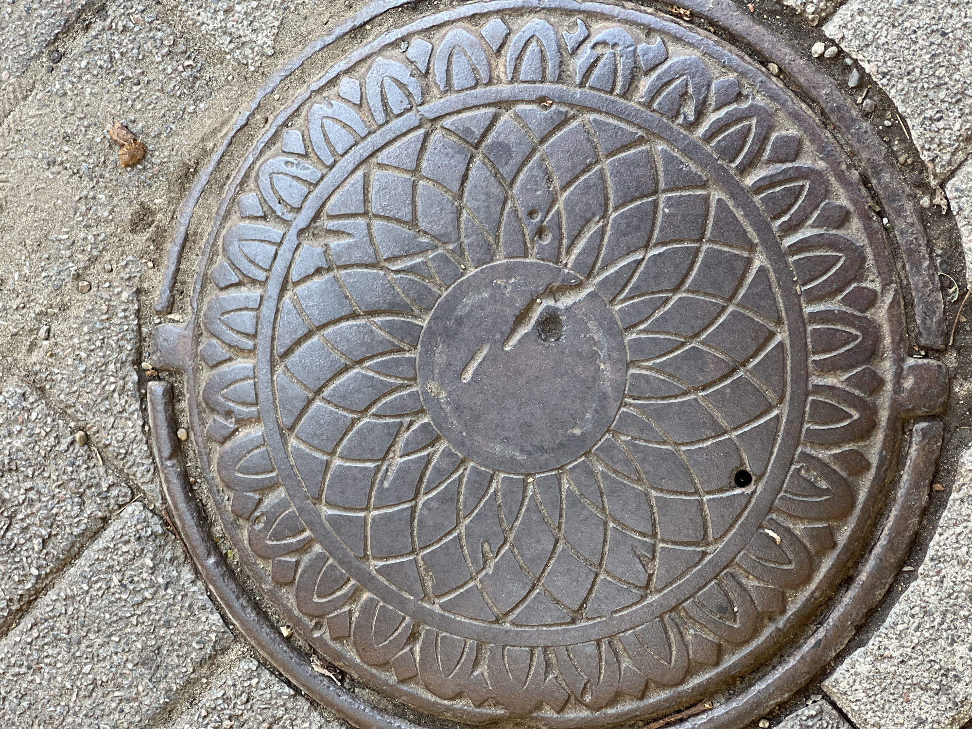 The image shows a manhole cover with a decorative circular pattern. The manhole cover is made of metal and is set into a paved surface. The paving stones are grey and textured. There are some small pebbles and a dried leaf on the ground. There is a small pile of animal feces on the ground near the manhole cover. The manhole cover has a central circular design with radiating lines and a decorative border around the edge. The overall color of the manhole cover is dark grey or black, with some lighter grey areas where the pattern is raised. The lighting suggests it is daytime, with some shadows visible. The image is taken from a top-down perspective, focusing on the manhole cover and its immediate surroundings. There are no people or animals visible in the image. The scene appears to be an outdoor urban environment, possibly a sidewalk or street. The description of the location in the city of Krasnodar, Russia, is not supported by any visual cues in the image itself.