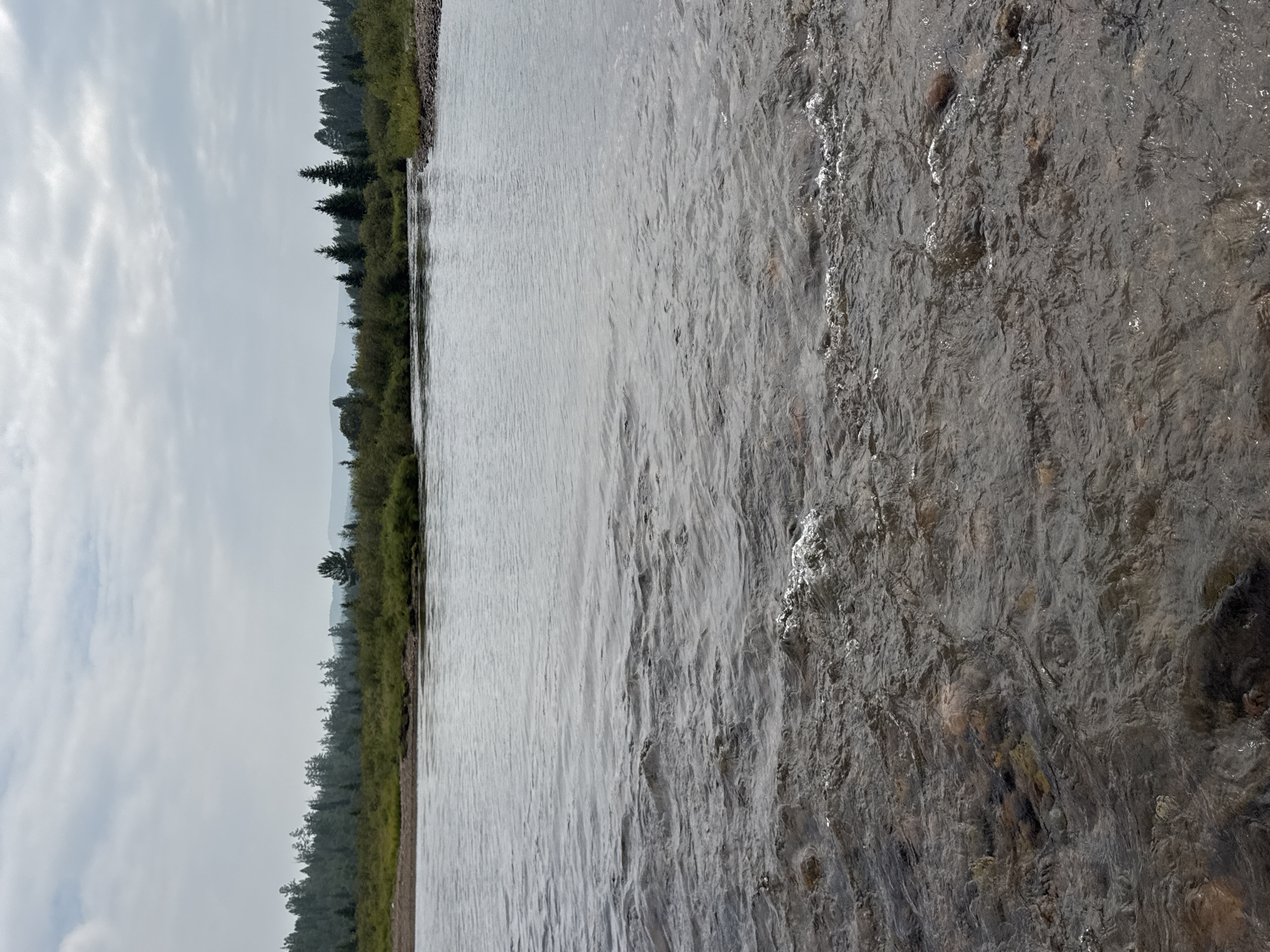 An overcast day at a wide, shallow river in an unknown location in Russia. The river flows from left to right across the frame. The water is clear and ripples over a rocky riverbed visible in the foreground. The banks of the river are lined with green grass and dense evergreen trees, with rolling hills in the distance. The sky is a muted gray, suggesting a cloudy or foggy day. There are no people or man-made objects visible in the scene.