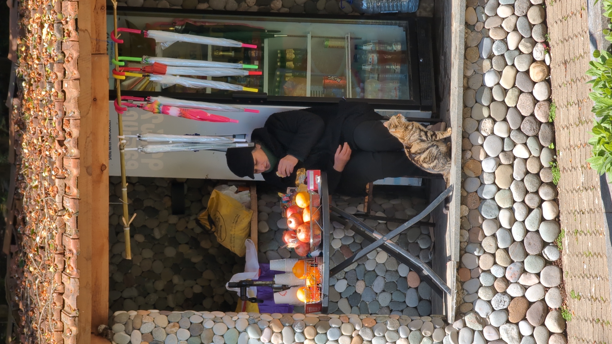 A man wearing a black jacket and hat stands near a fruit stand next to a pebble-covered wall, possibly in Batumi, Georgia. A cat sits next to him. The fruit stand displays pomegranates and oranges in tiered baskets. Umbrellas hang above the fruit. A refrigerator full of drinks is behind the man.