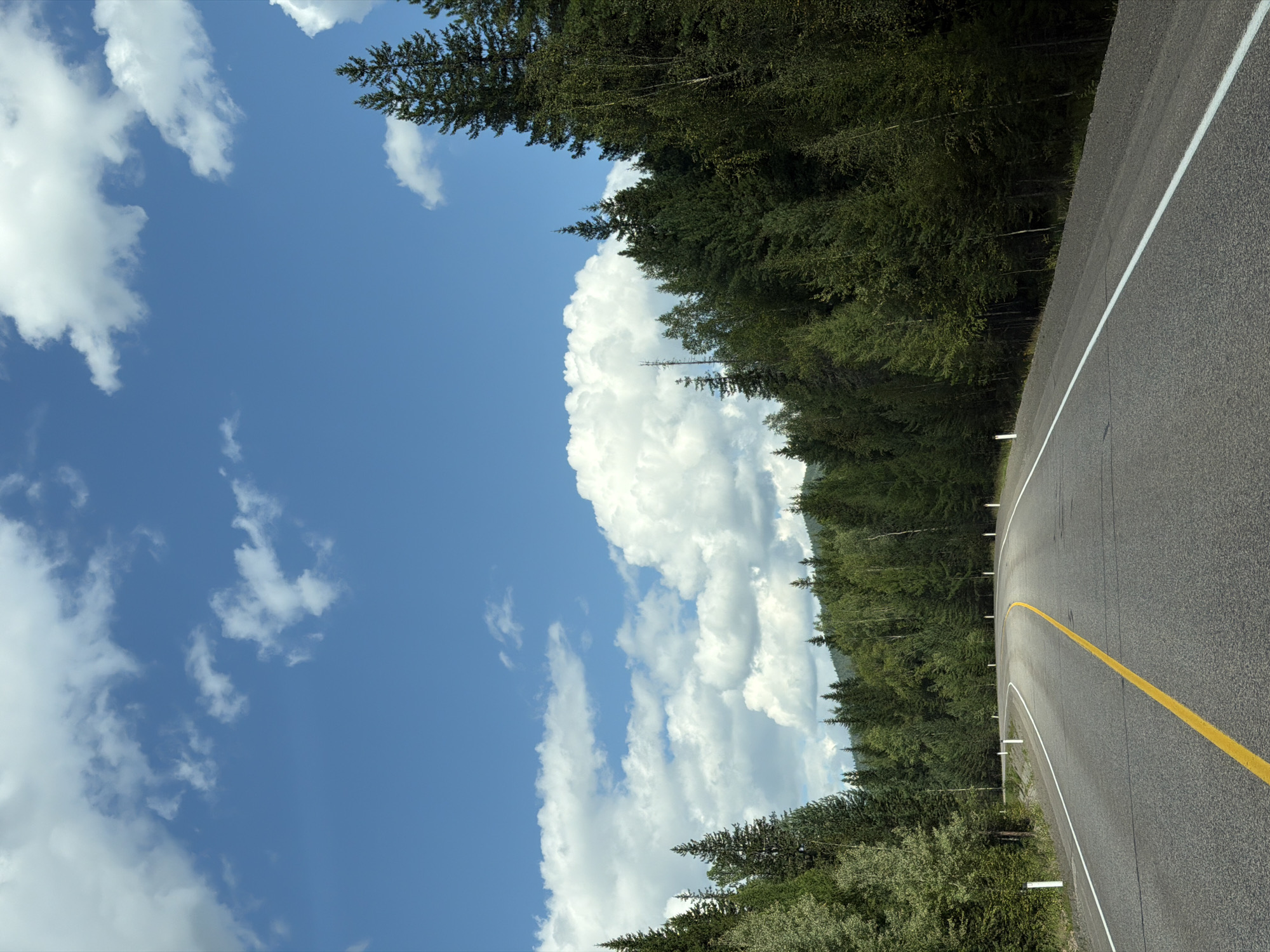 This is a forward-facing, eye-level, medium shot of a paved road curving through a dense forest under a bright blue sky dotted with fluffy white clouds. The road is marked with a solid white line on the right edge and a broken yellow line down the center. White posts are visible along the side of the road at intervals. The forest on either side of the road is comprised of tall, dark green coniferous trees. The terrain appears to be slightly hilly, with the trees extending up the slopes of distant hills. There are no people or animals visible in the image. The image is taken during daylight hours, likely in the summer or early autumn. The location is identified as the city of Aradan, Russia.