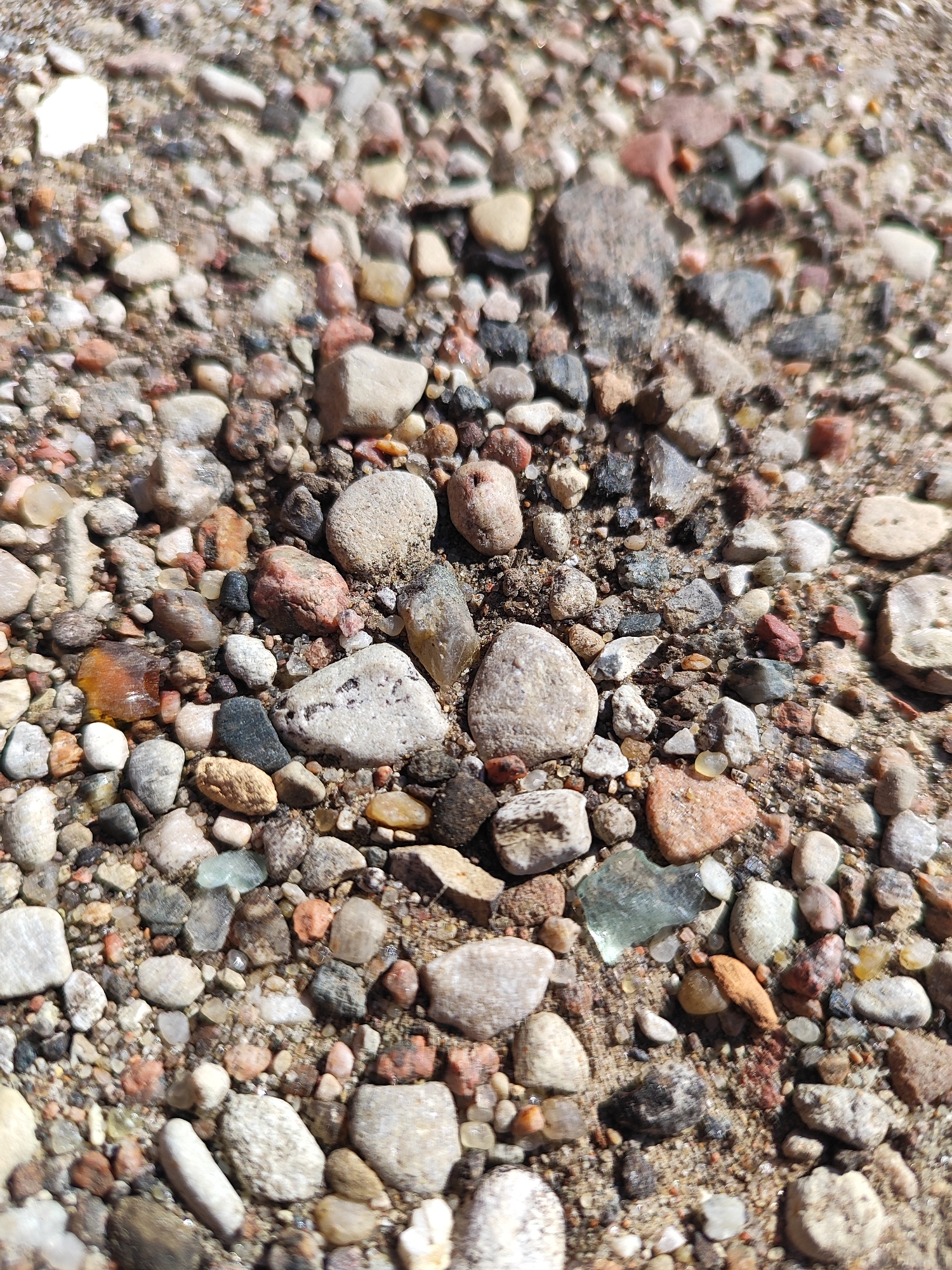 The image shows a close-up, overhead view of a gravelly surface, likely a pathway or ground cover. The gravel consists of a variety of stones and pebbles in different sizes, shapes, and colors, including shades of gray, brown, pink, white, and some translucent pieces that appear to be sea glass. The surface is dry and appears to be under natural sunlight, casting shadows between the stones. There are no people, animals, or man-made structures visible in the image. The scene is consistent with an outdoor environment. There is no information in the image to suggest a specific location within the city of Hrodna, Belarus.