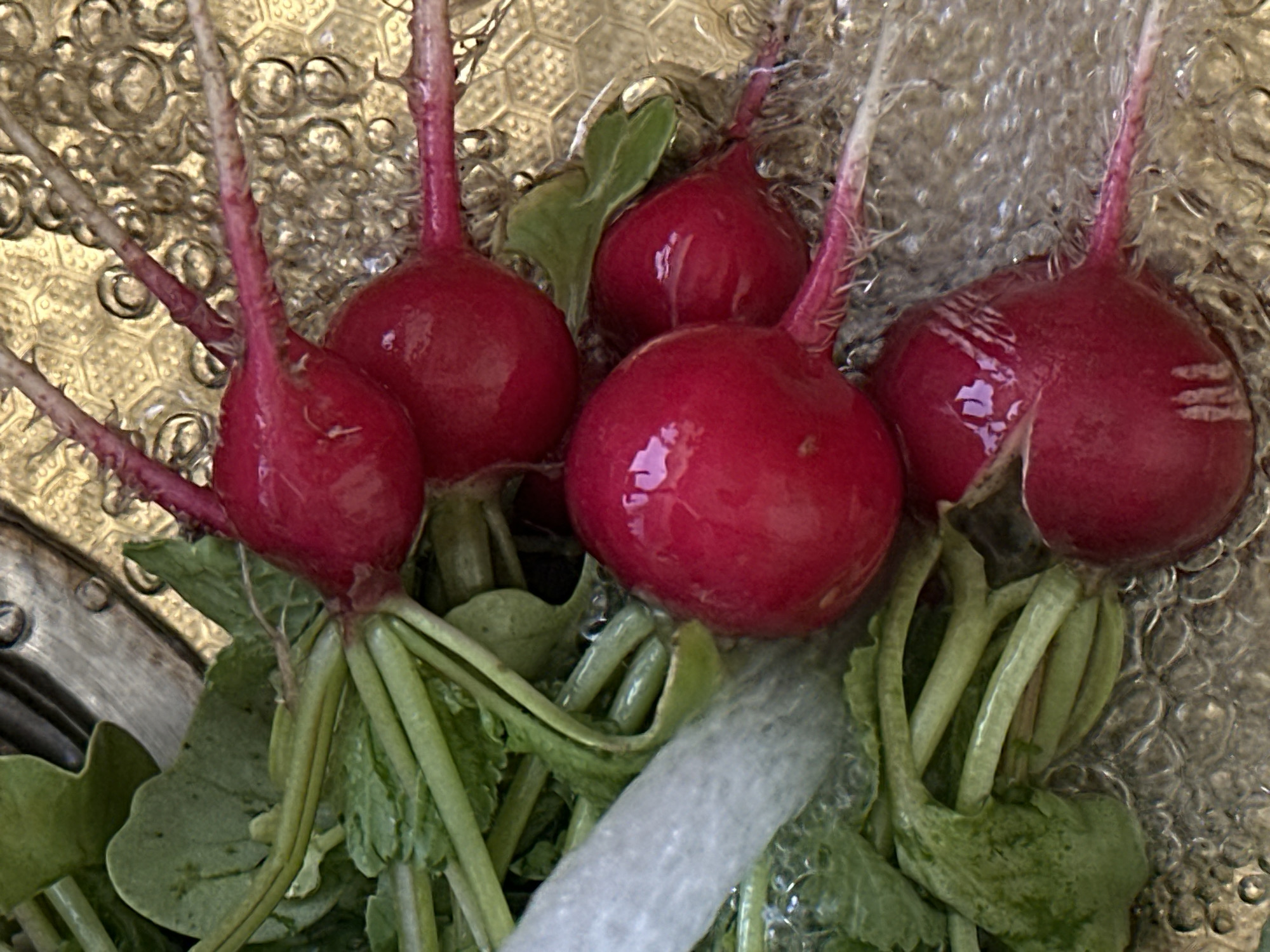 The image shows a close-up, overhead view of several radishes being rinsed in a sink. The radishes are bright red and round, with some green stems and leaves attached. The sink appears to be made of metal and has a textured surface with some water bubbles. There is a white object, possibly a sponge or cloth, partially visible on the left side of the image. The scene is well-lit, and the focus is on the radishes. No people are visible in the image. The location in the city of Kharnavy, Russia, is not identifiable from the visual information in this image.