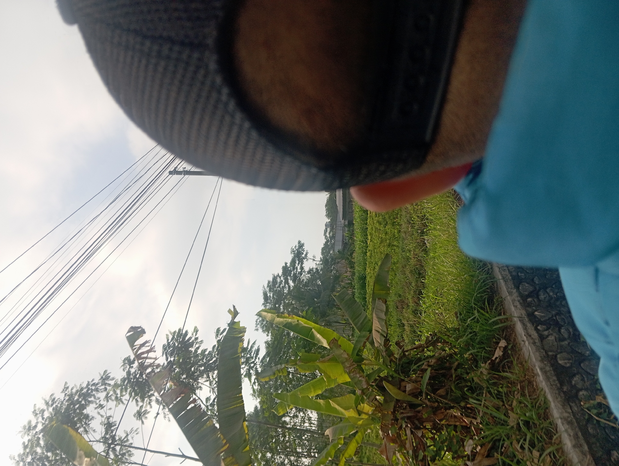 A close-up, low-angle shot shows the back of a person's head, wearing a black mesh trucker hat and a blue shirt, as they face away from the camera towards a rural landscape. The background features lush green vegetation, including banana trees with large leaves, and a field of crops under a hazy sky. Overhead, multiple power lines stretch across the frame, supported by poles visible in the distance. The scene appears to be on the outskirts of Klakah, Indonesia, as evidenced by the style of the vegetation and the presence of typical rural infrastructure like power lines and simple buildings in the far distance. The lighting suggests it is daytime, possibly late afternoon.