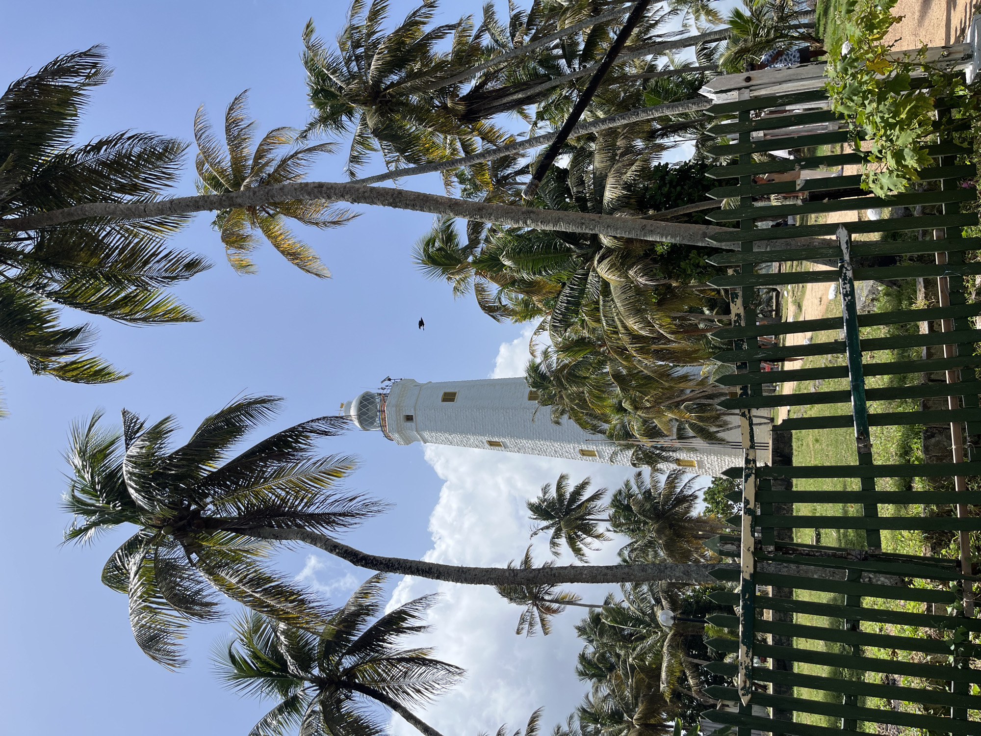 In Dondra, Sri Lanka, a white lighthouse stands prominently amidst a grove of mature palm trees, their fronds reaching towards a bright blue sky dotted with scattered white clouds. A dark green wooden fence with a weathered, light-colored horizontal beam runs across the foreground, partially obscuring a grassy area. Several people are visible behind the fence, appearing to be walking or standing. A solitary bird is captured in flight in the upper middle portion of the frame, near the lighthouse. The lighthouse itself is a tall, cylindrical structure with a lantern room at its apex. Its white facade is marked with numerous small, rectangular windows. The overall scene depicts a tropical coastal environment.